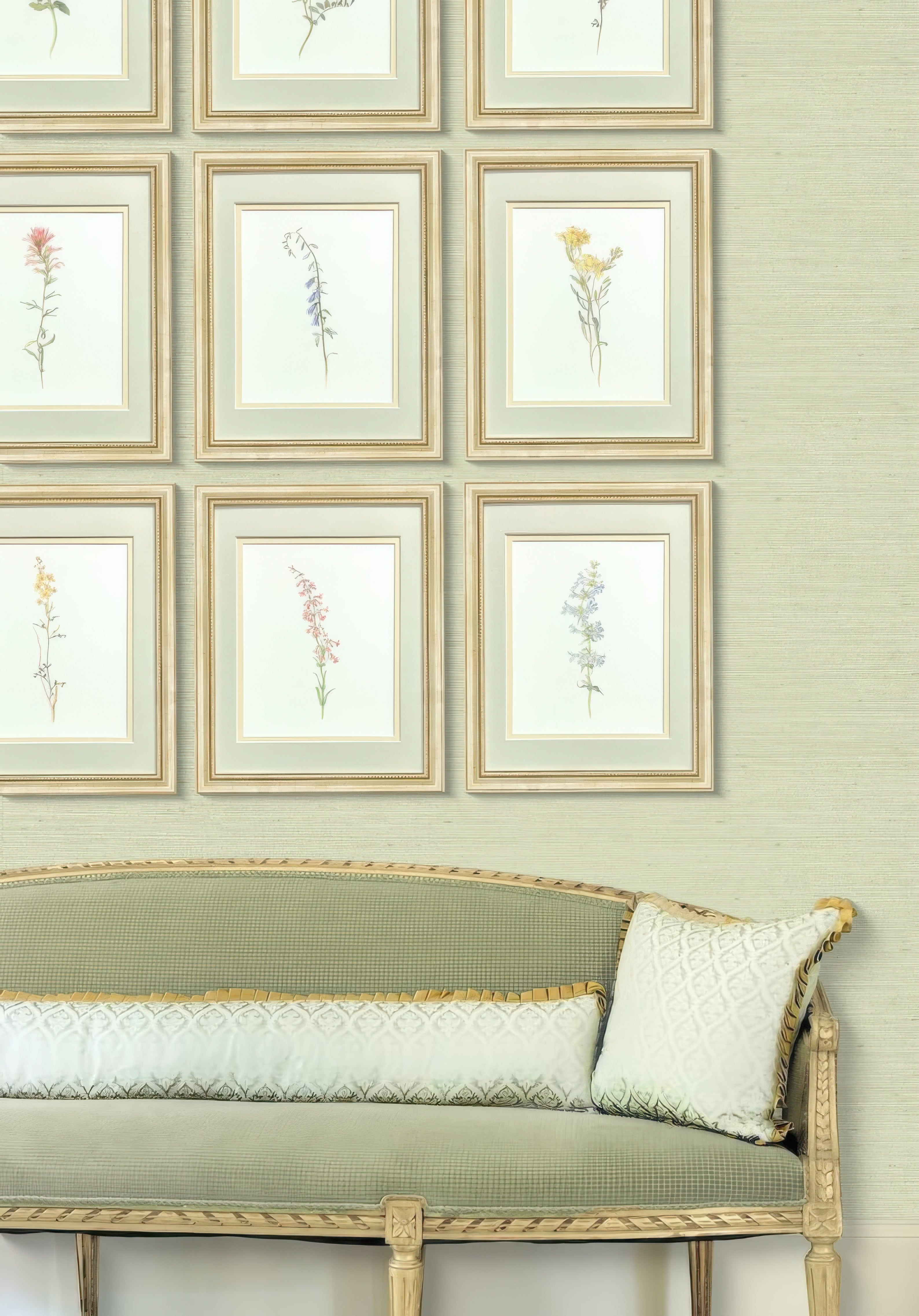 Desert Senna — early 20th century American wildflower watercolor illustration art print