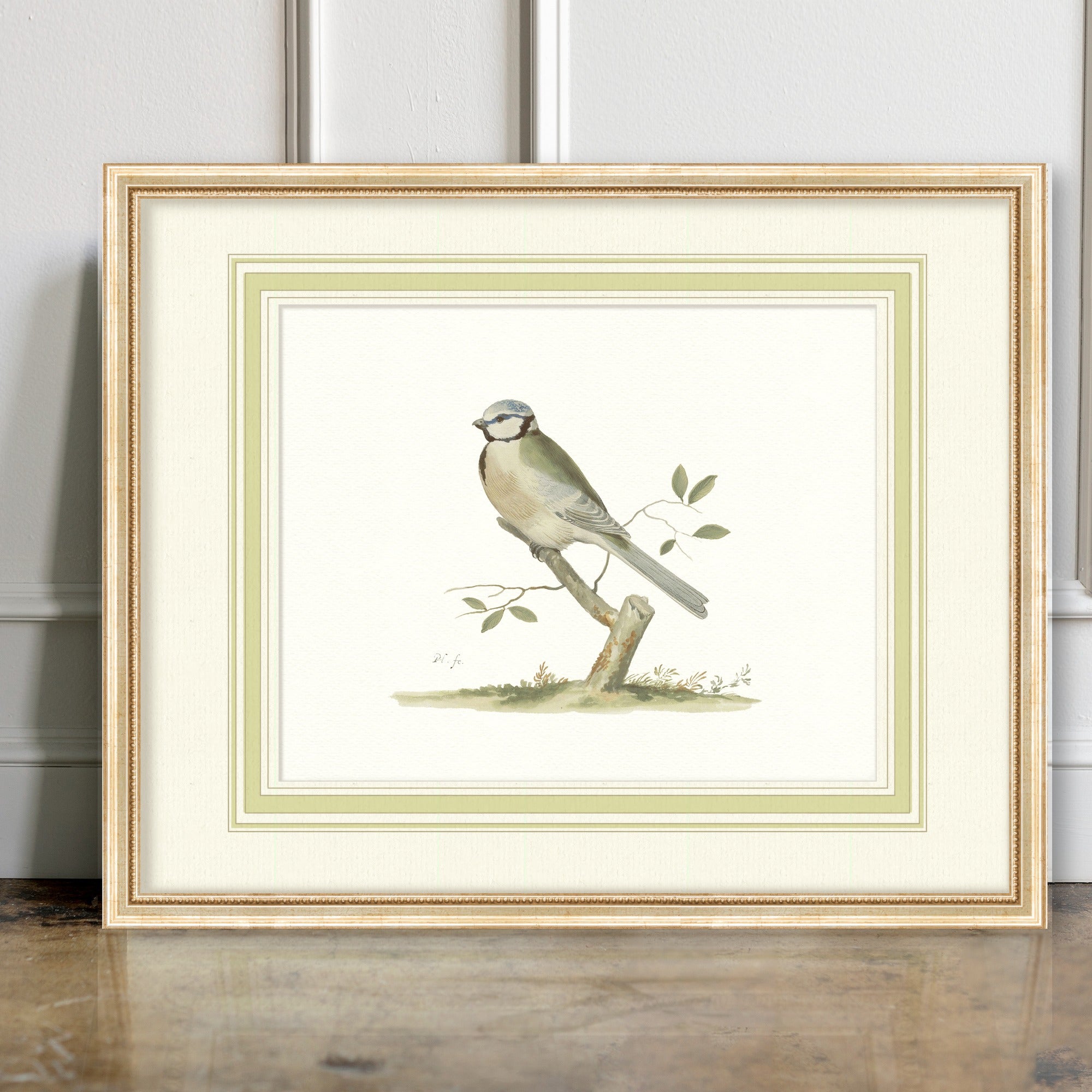 Aviary - Blue Tit - room mockup