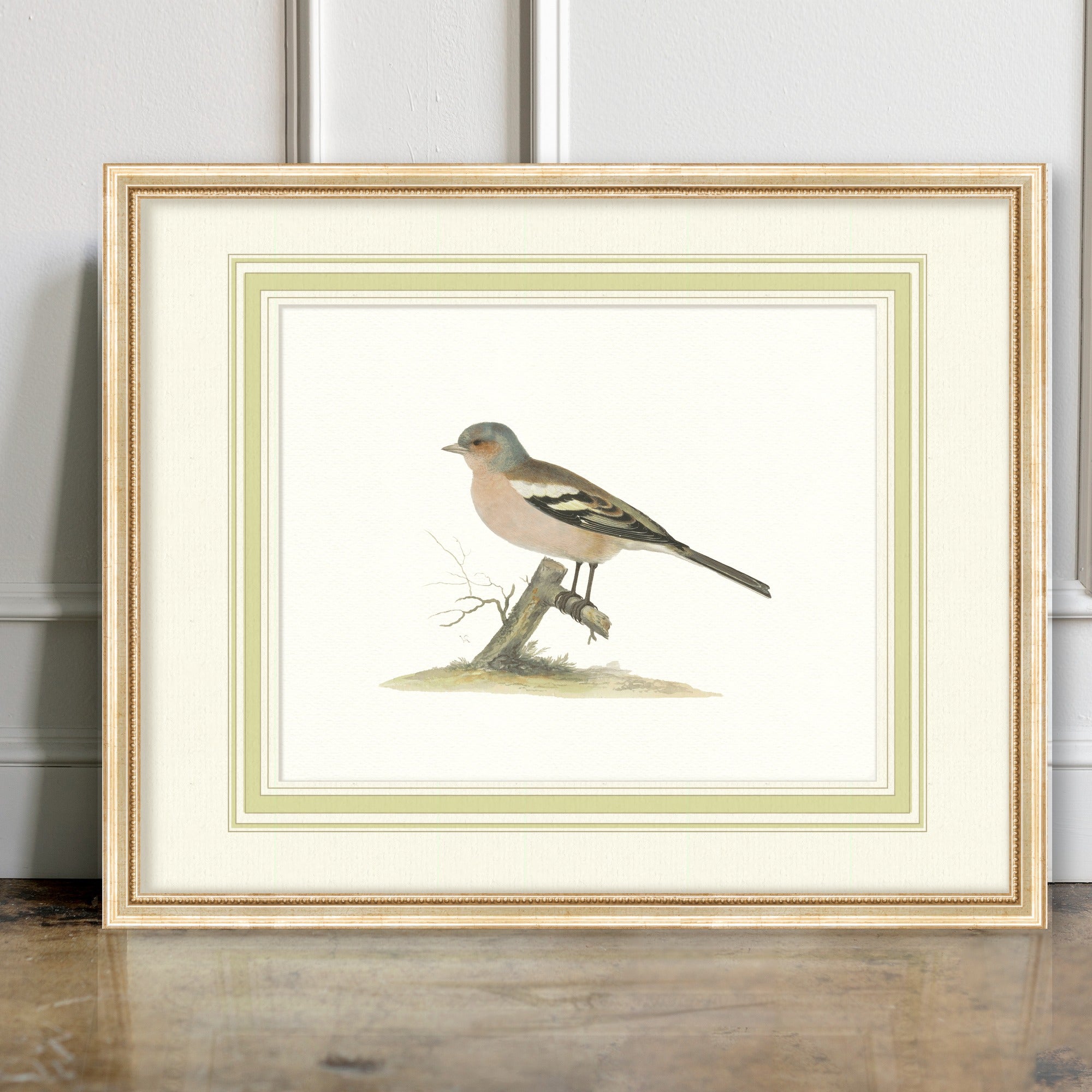 Aviary - Chaffinch - room mockup
