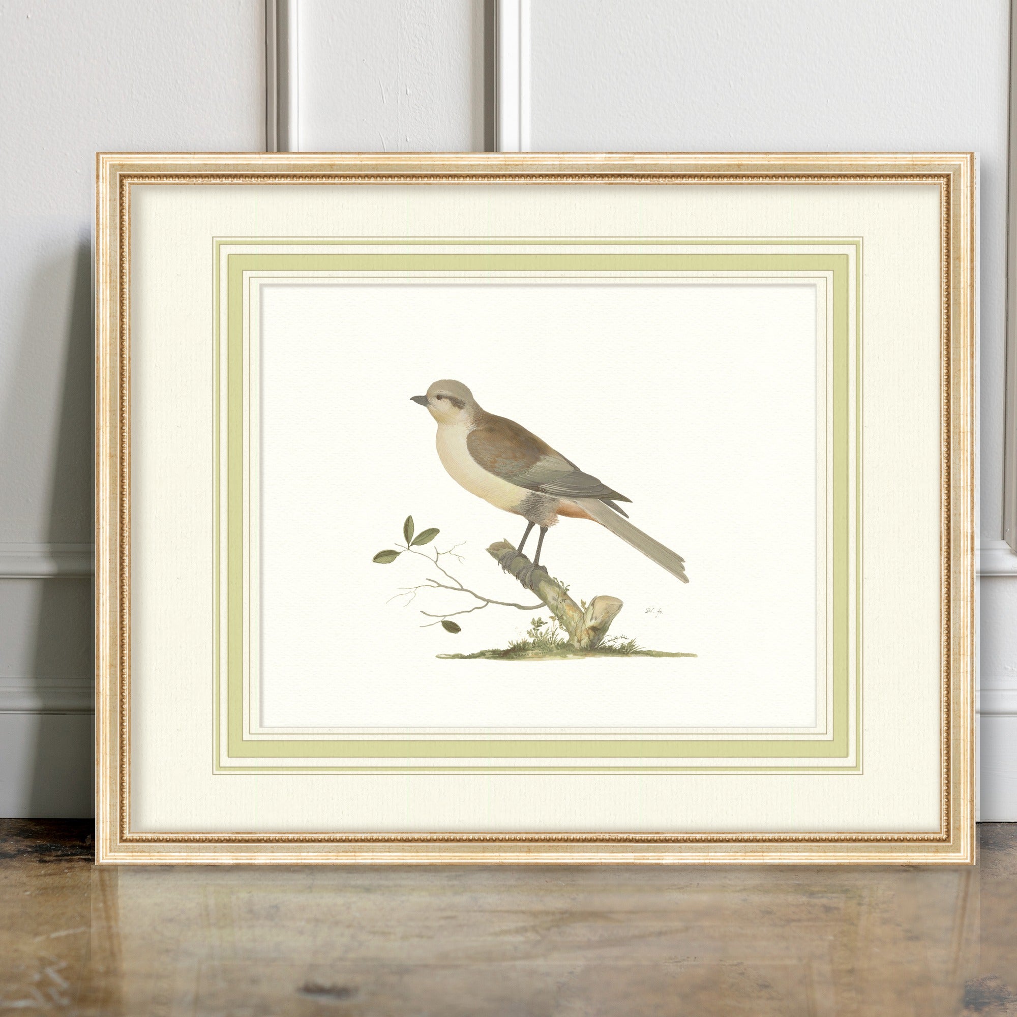 Aviary - Dove - room mockup