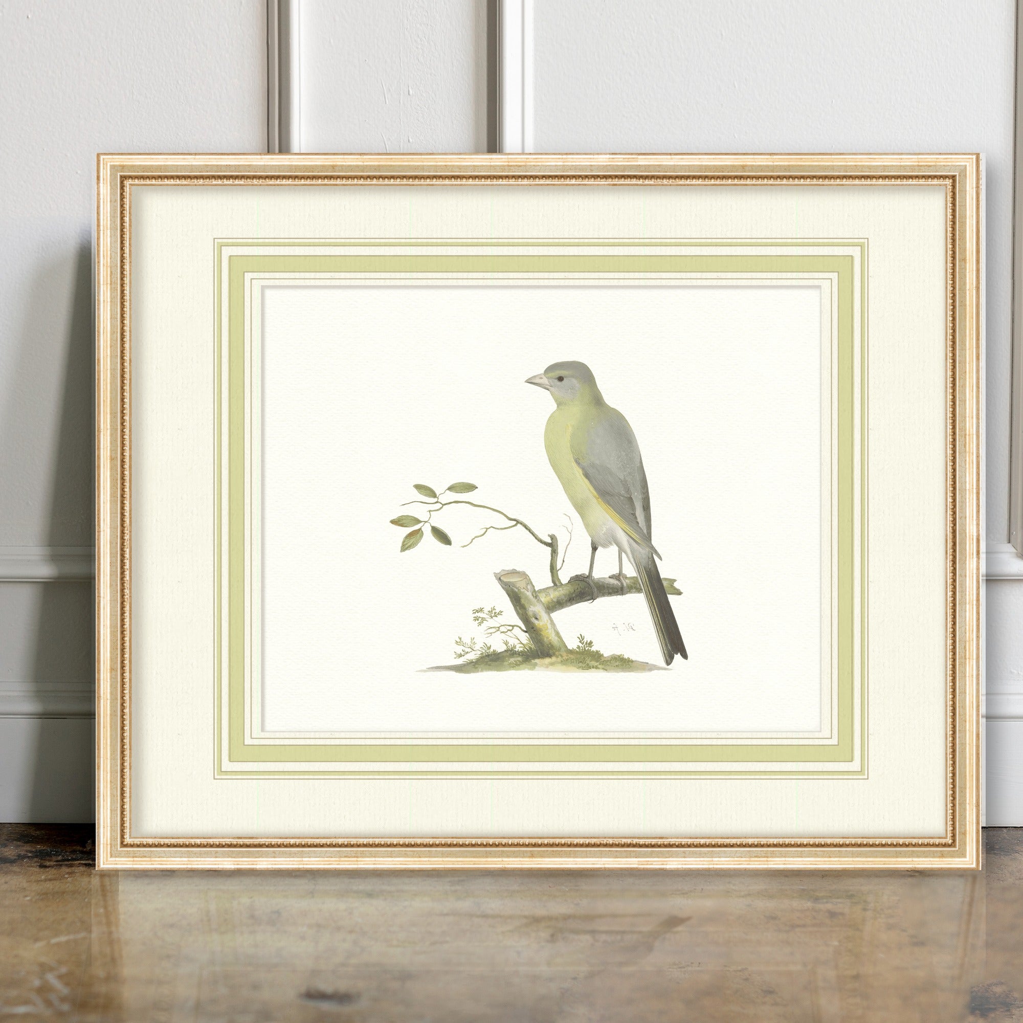 Aviary - Green Finch - room mockup