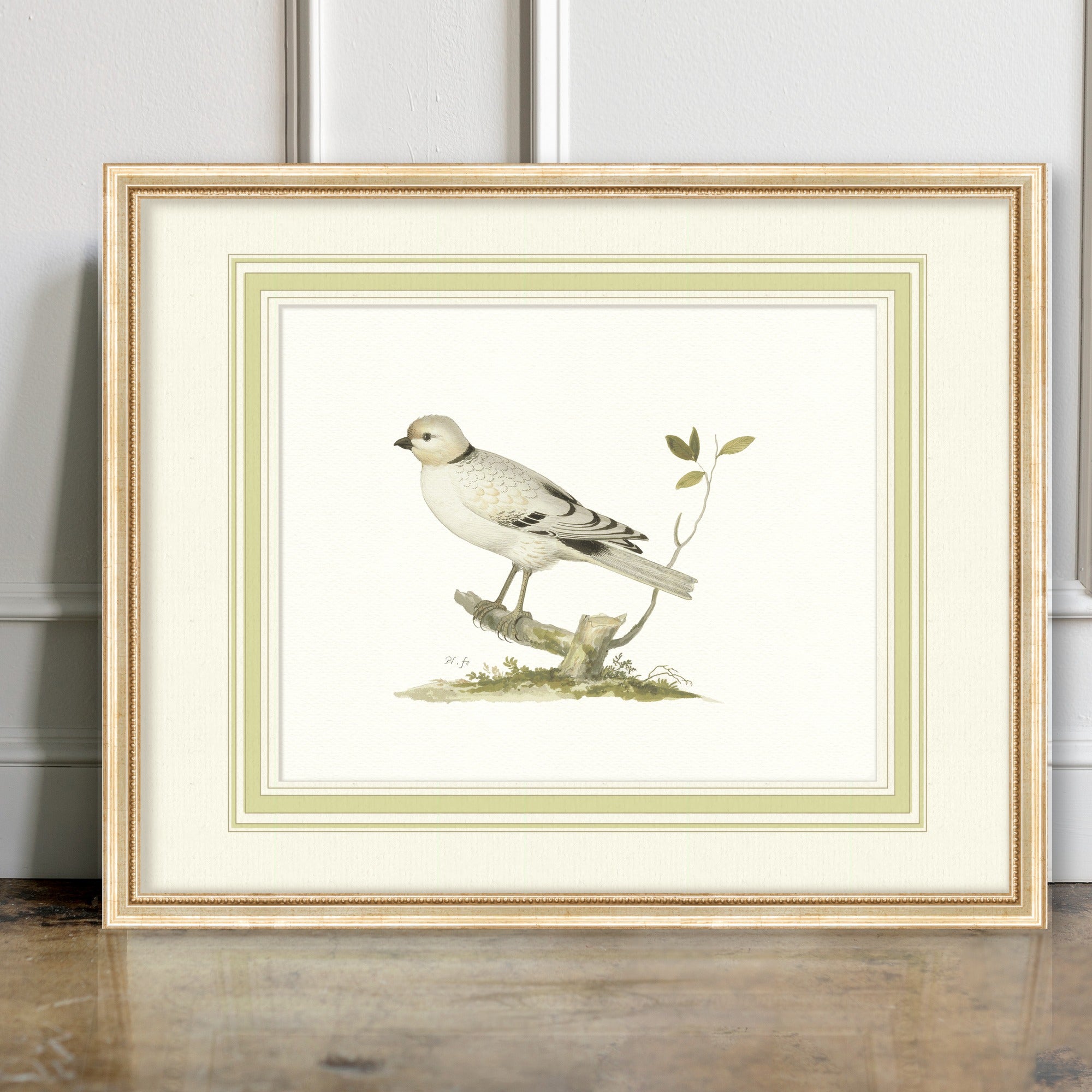 Aviary - Lapland - room mockup