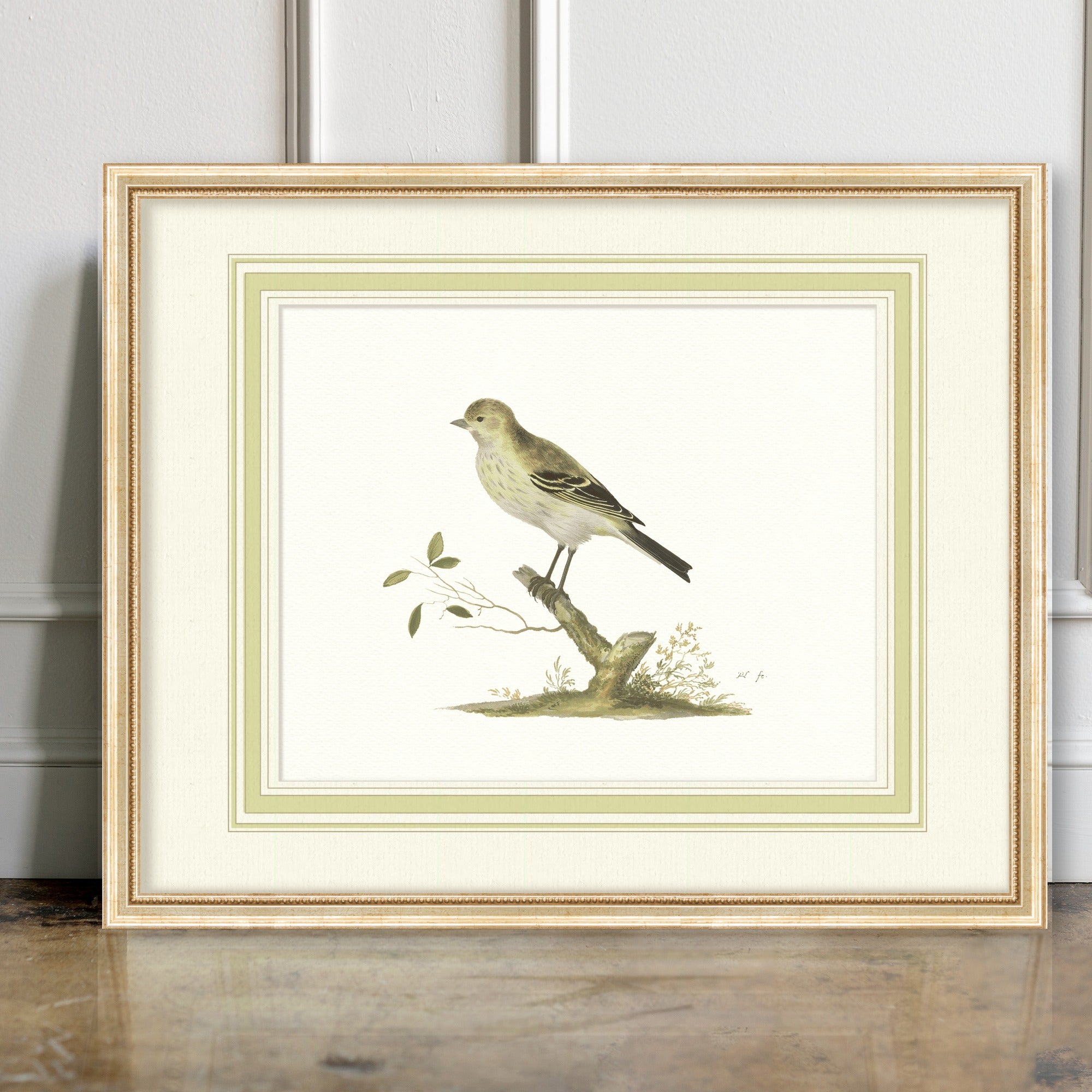 Aviary - Siskin - room mockup
