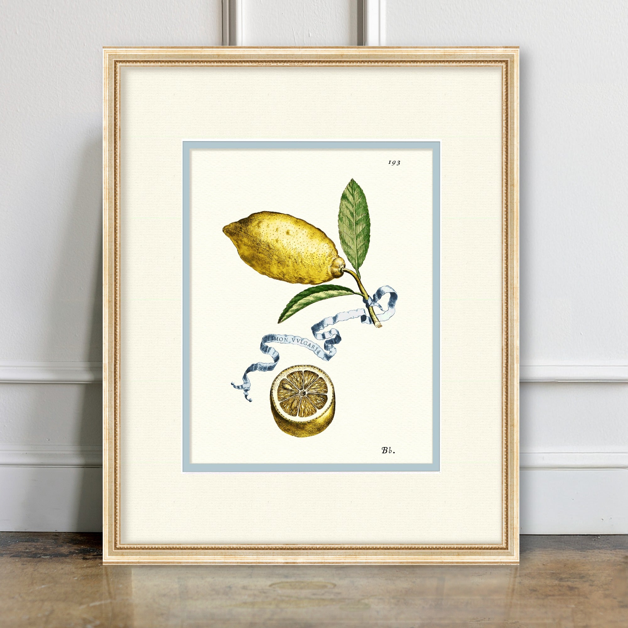 Citrus Botanicals - Lemon No. 253 - room mockup