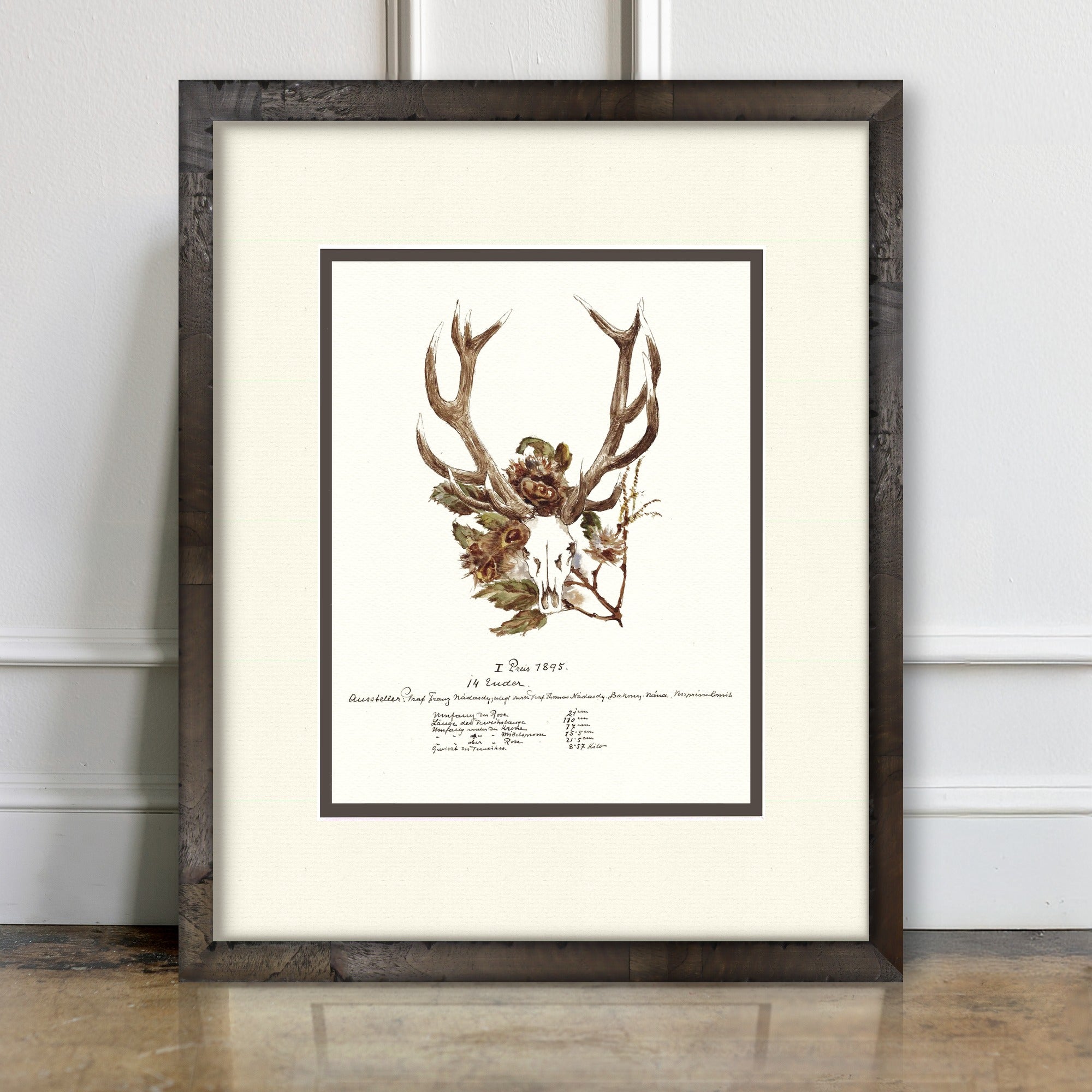 Trophy Antler Illustrations - 1895 - room mockup
