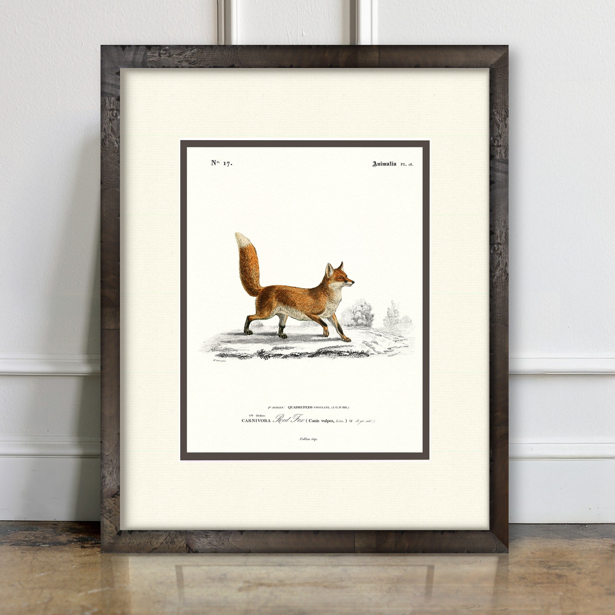 Woodland Illustrations - Red Fox - room mockup