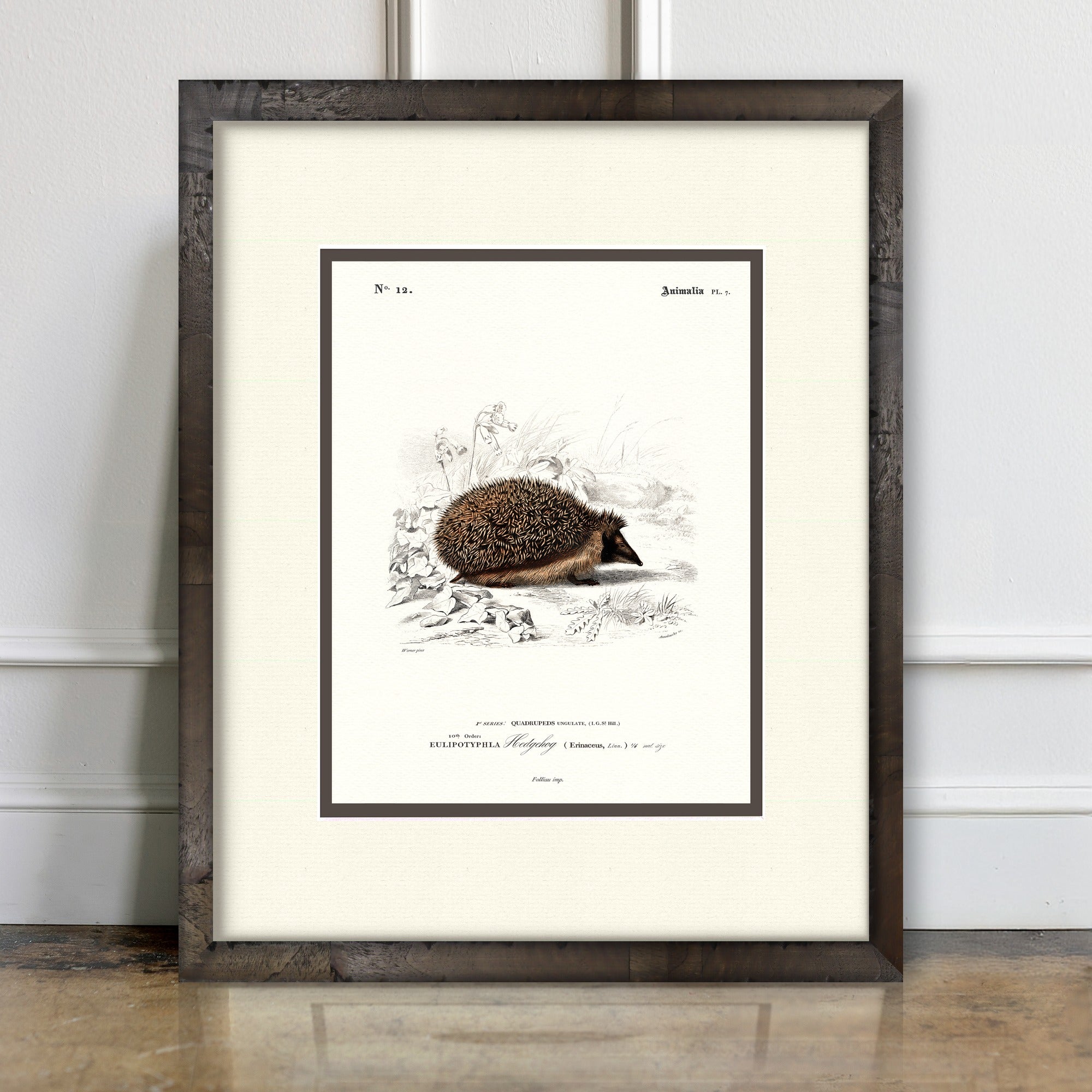 Woodland Illustrations - Hedgehog - room mockup