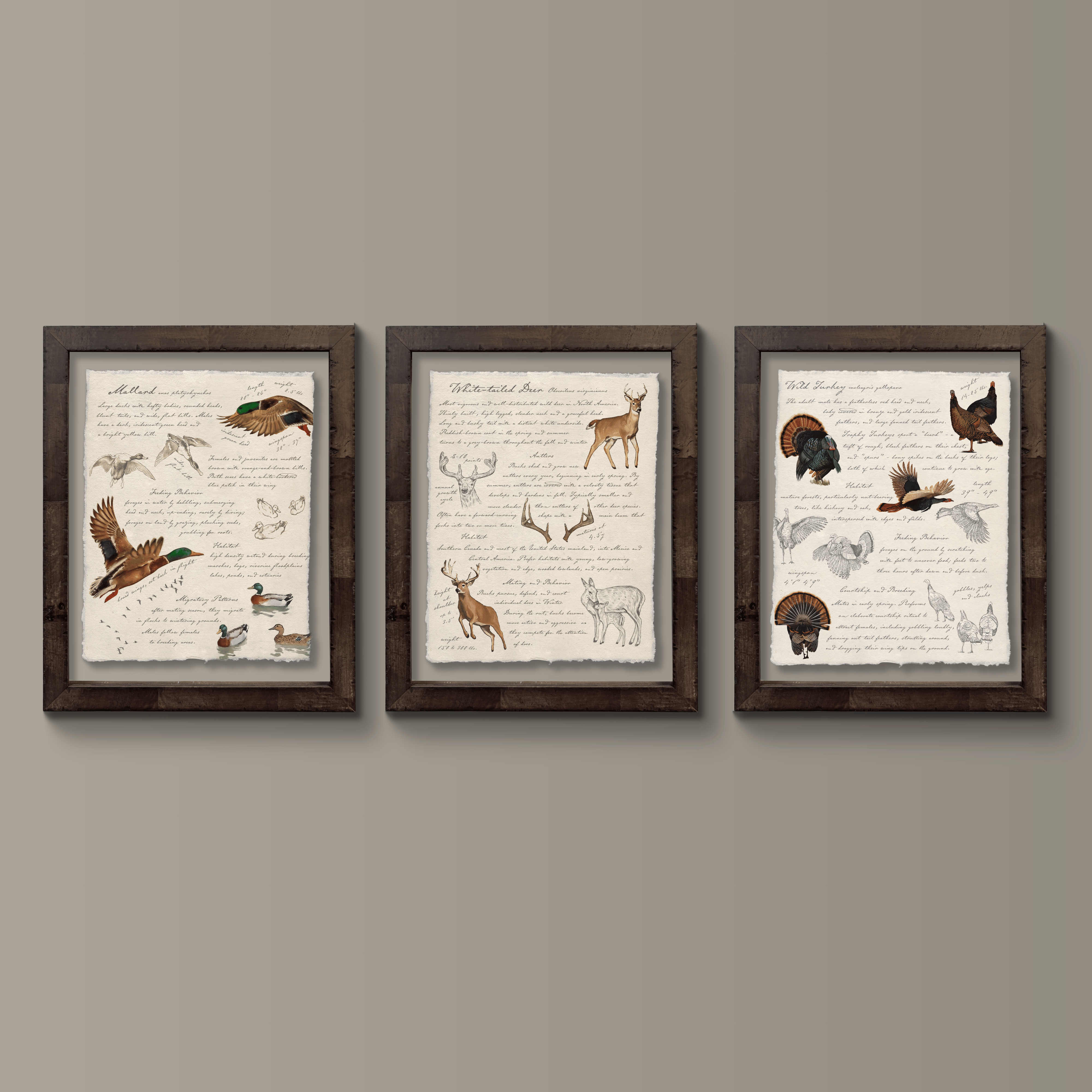 Hunting Field Guides - Curated Set of 3