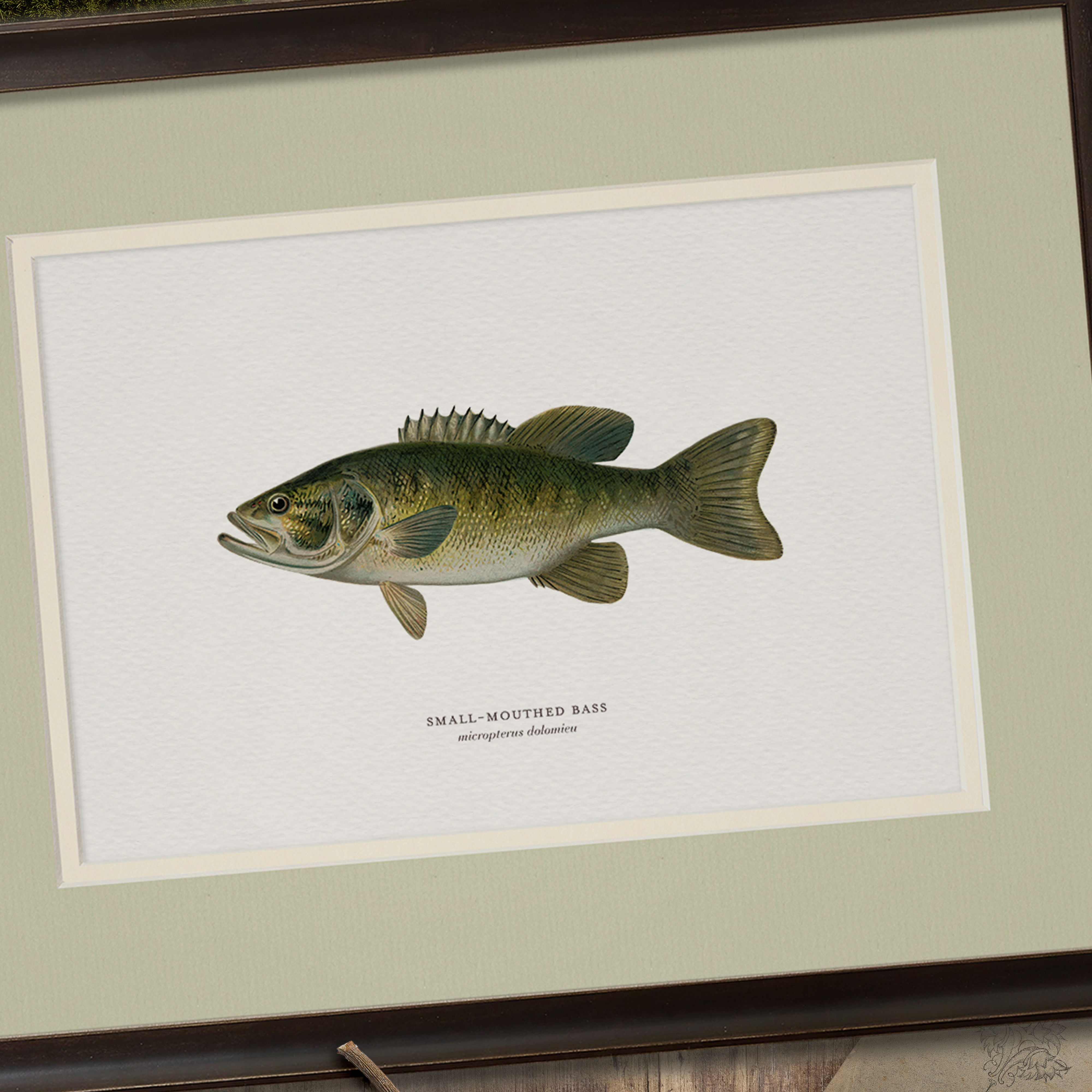 Sage & Ecru Double Mats