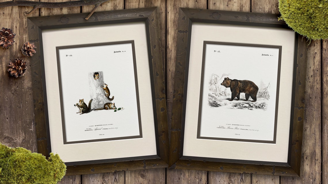 Rustic Espresso Burl Wood Frame