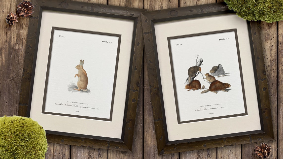 Rustic Espresso Burl Wood Frame