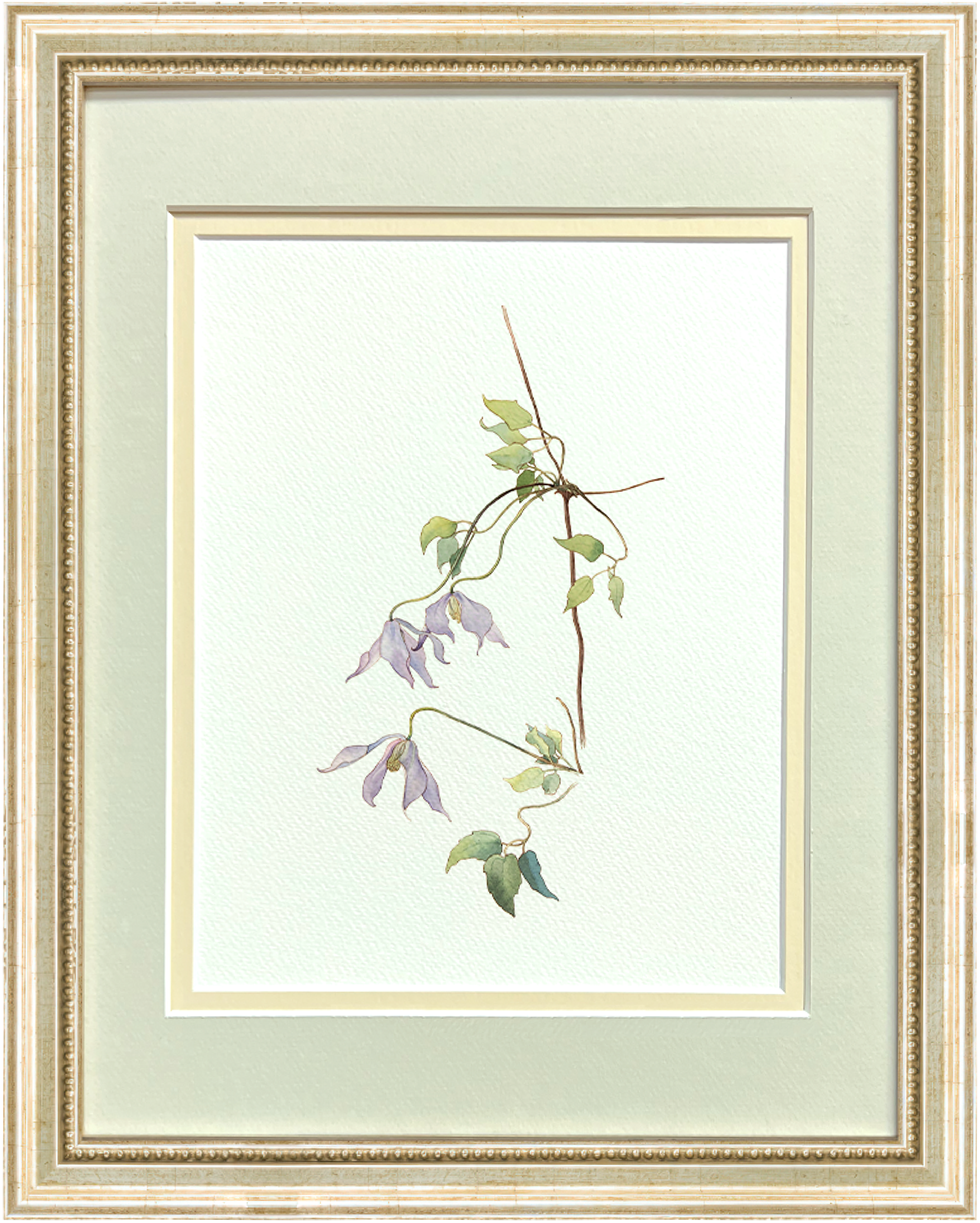 Watercolor Botanical Illustrations - Lilac