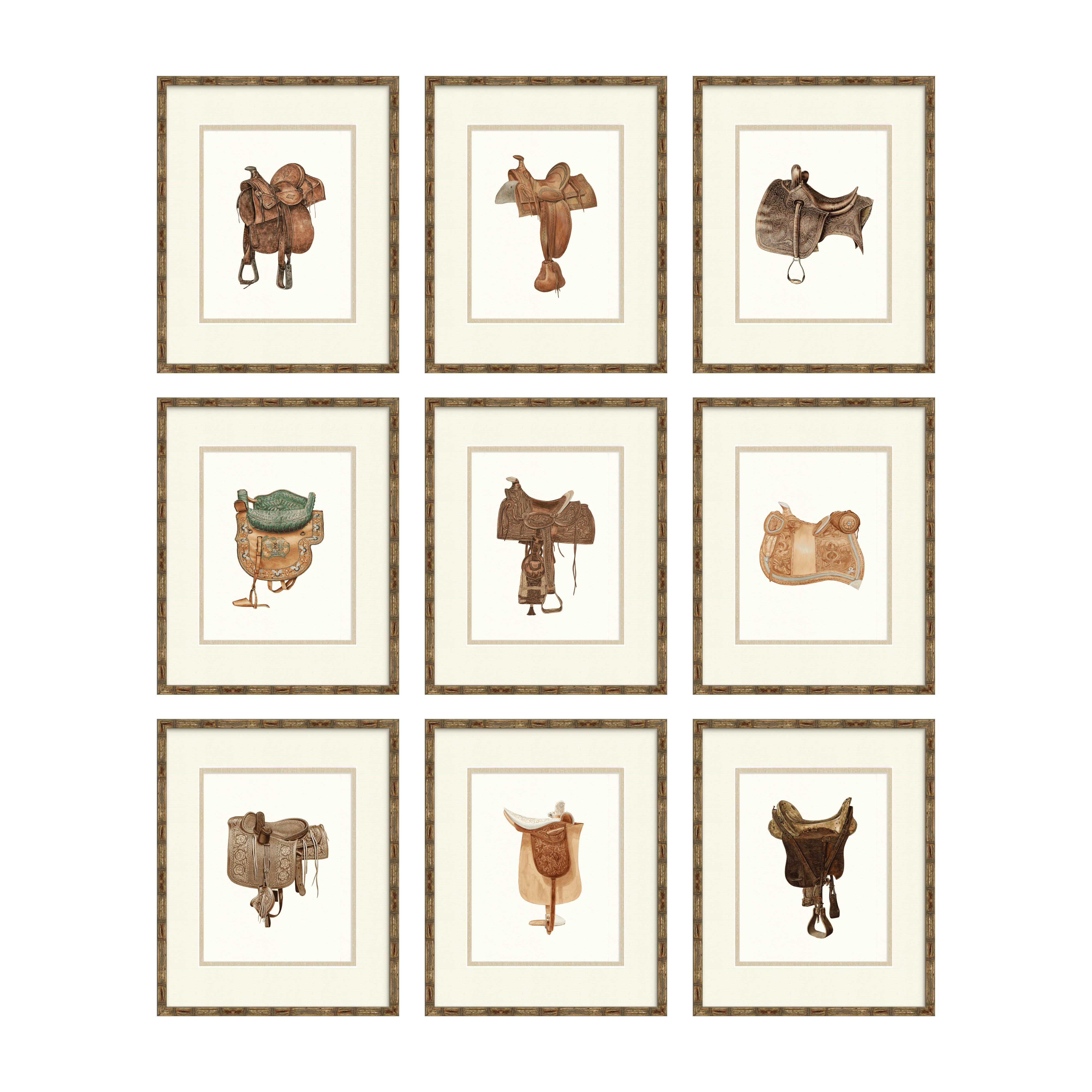 Vintage Saddle Illustrations Set of 9 — vintage American saddle gallery wall collection