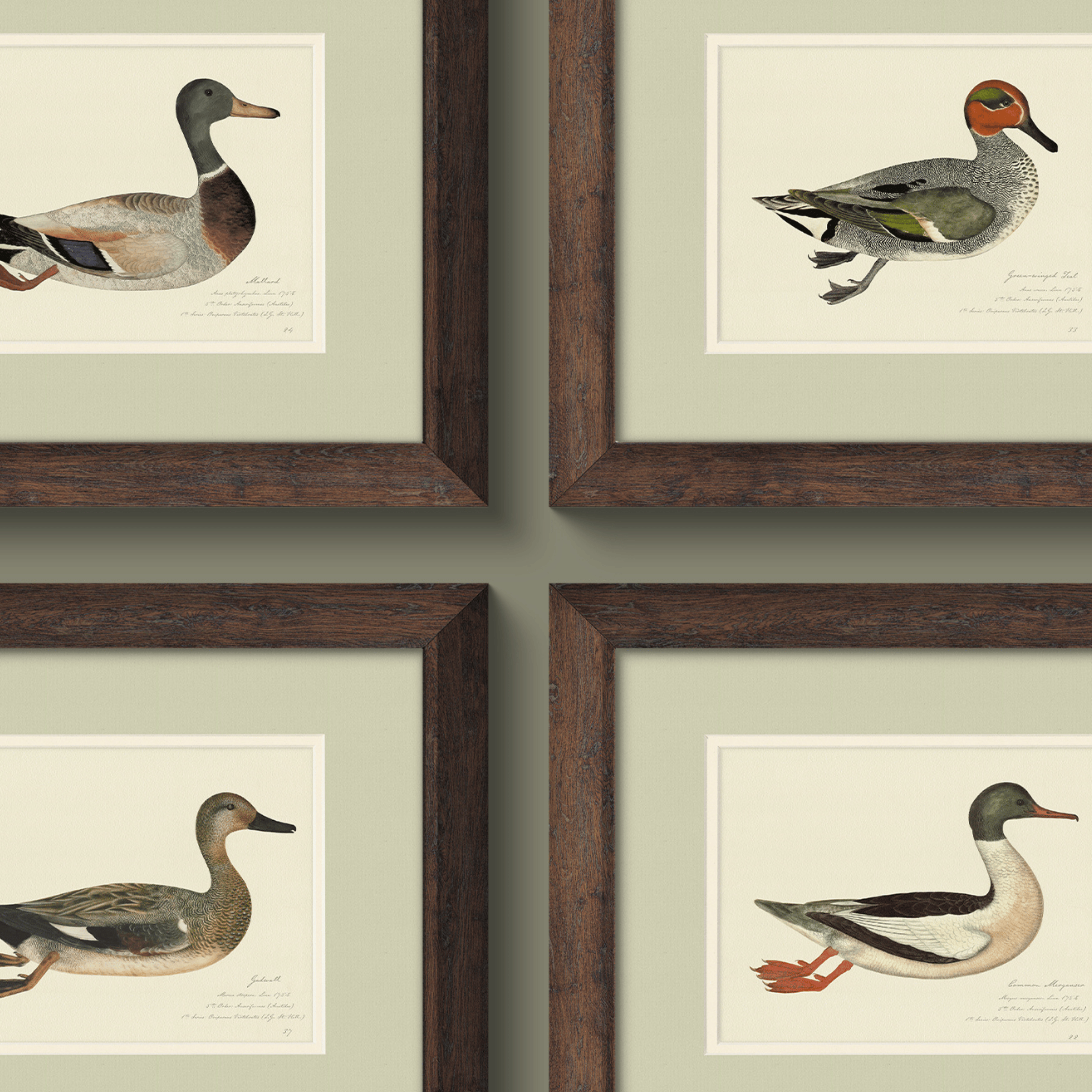 Sage & Ecru Double Mats