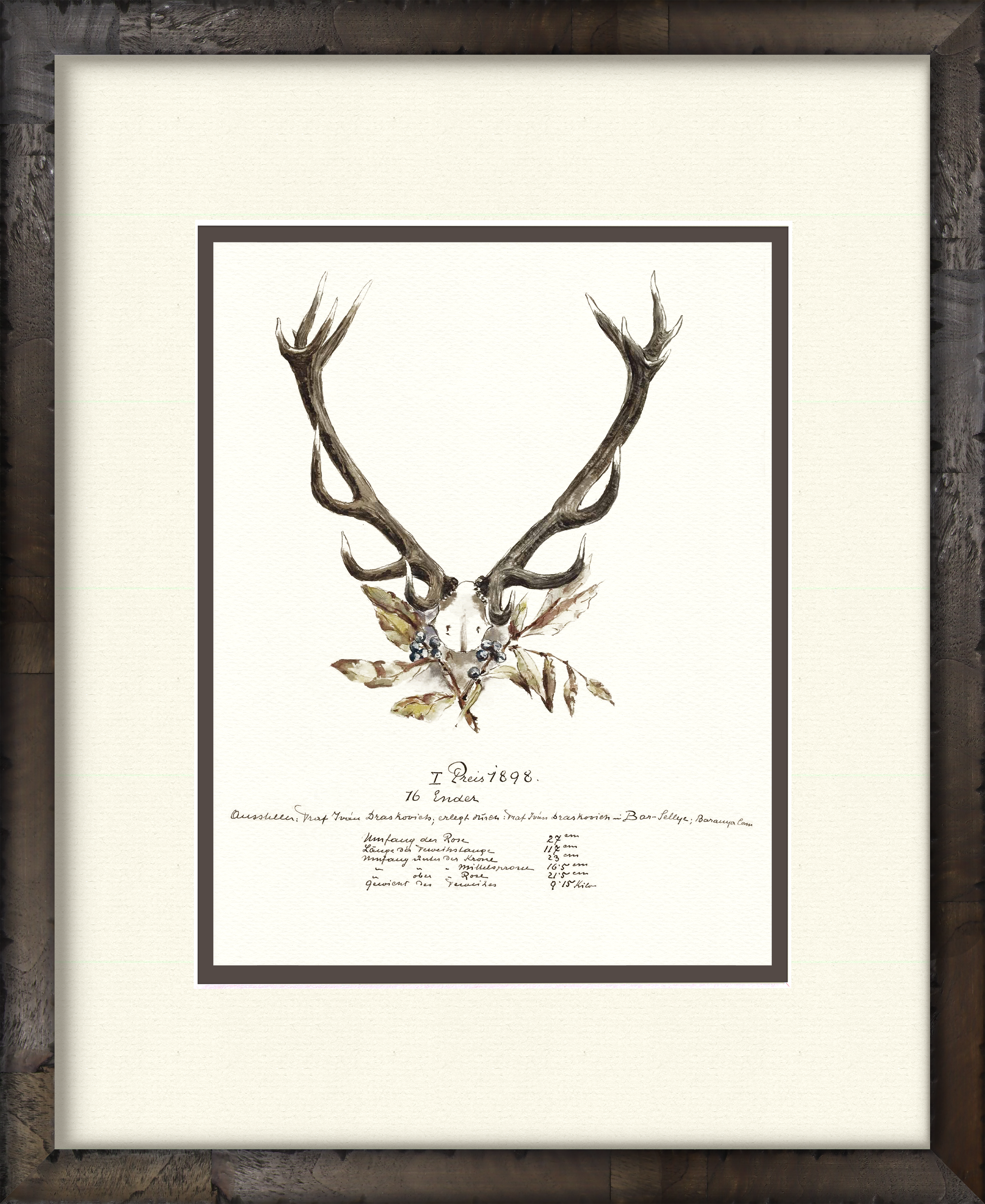 Trophy Antler Illustrations 1898 — 19th-century big game trophy vintage art print