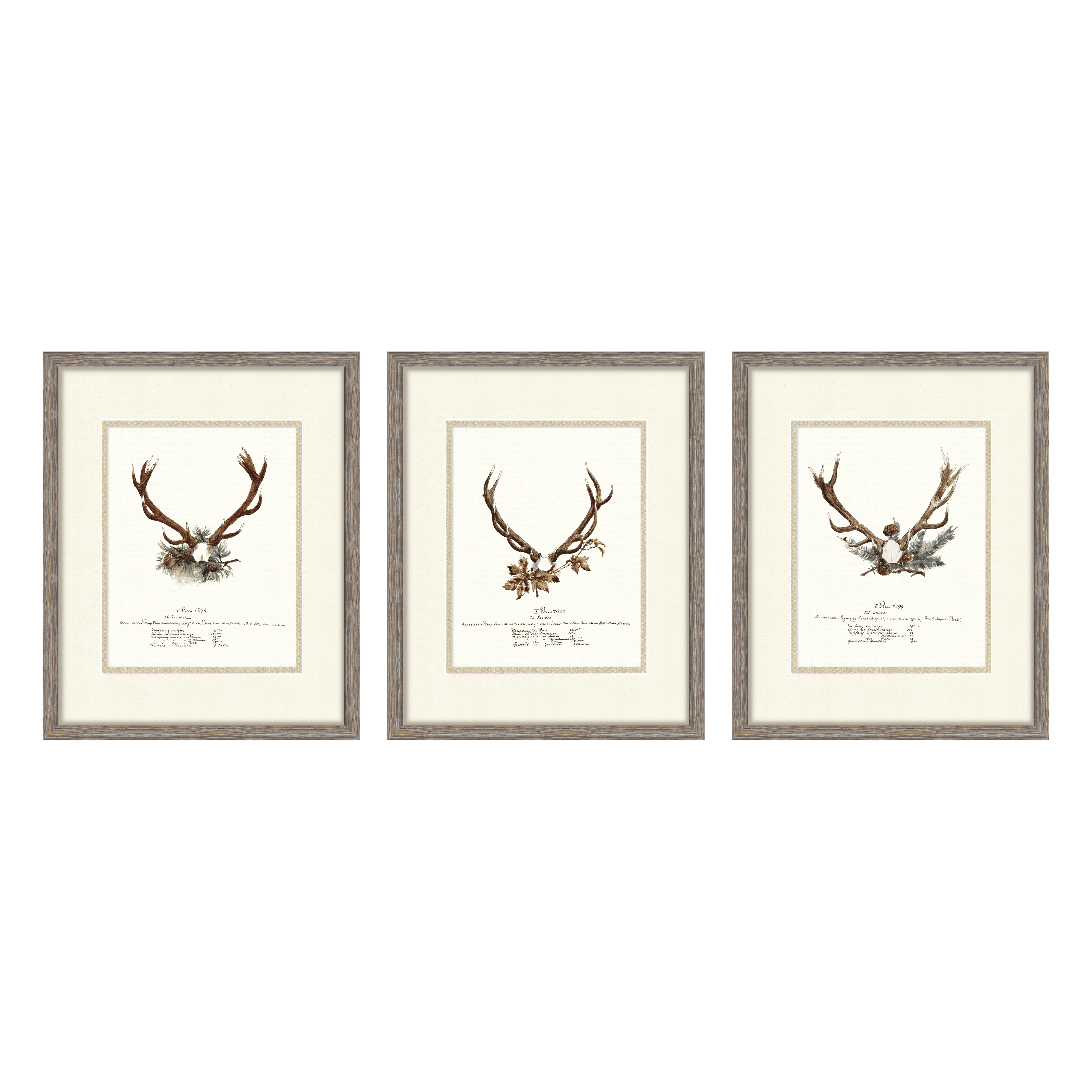 Trophy Antler Illustrations Curated Set of 3 — vintage big game trophy gallery wall collection