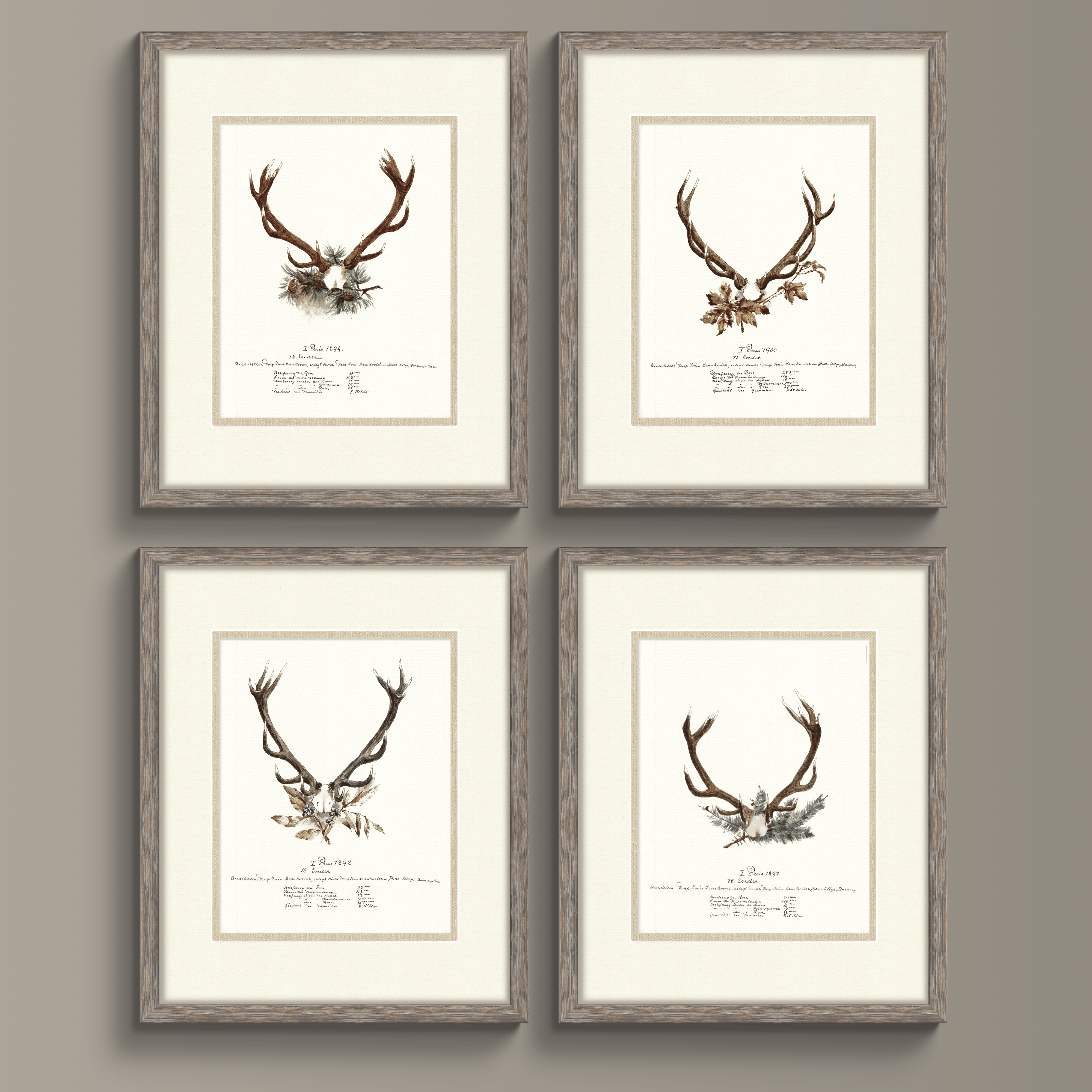 Trophy Antler Illustrations - 1898