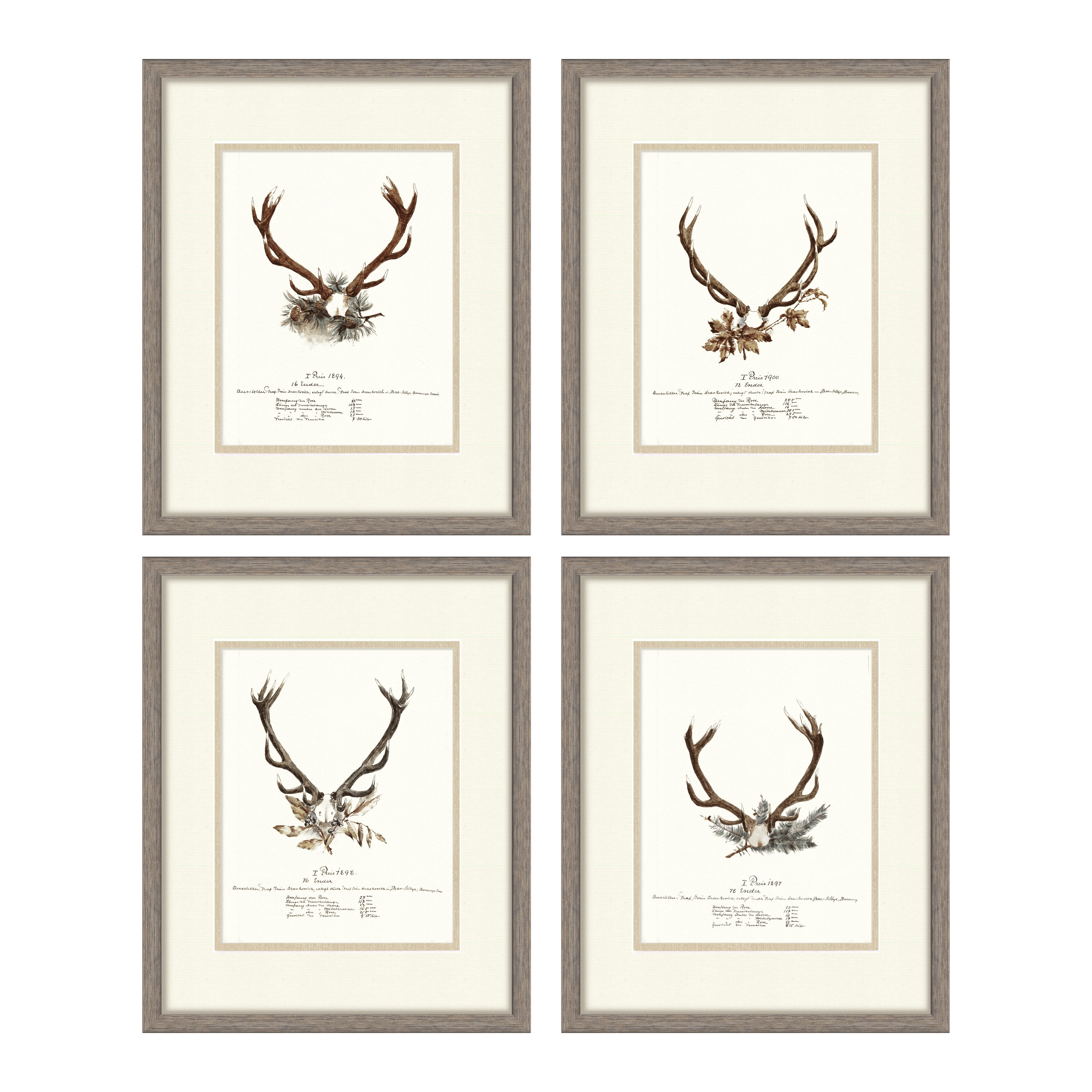 Trophy Antler Illustrations Curated Set of 4 — vintage big game trophy gallery wall collection