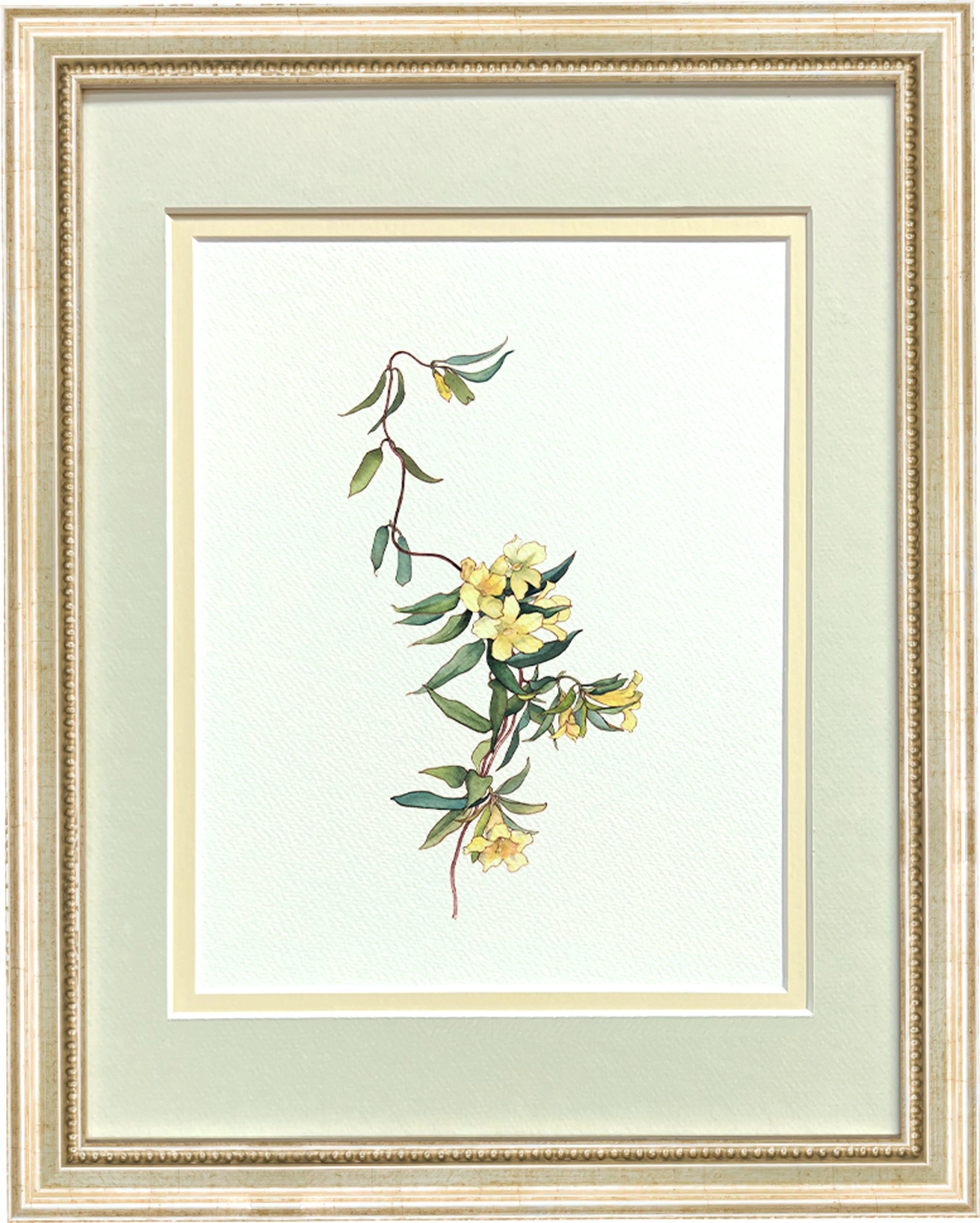 Watercolor Botanical Illustrations - Trumpets on a Vine