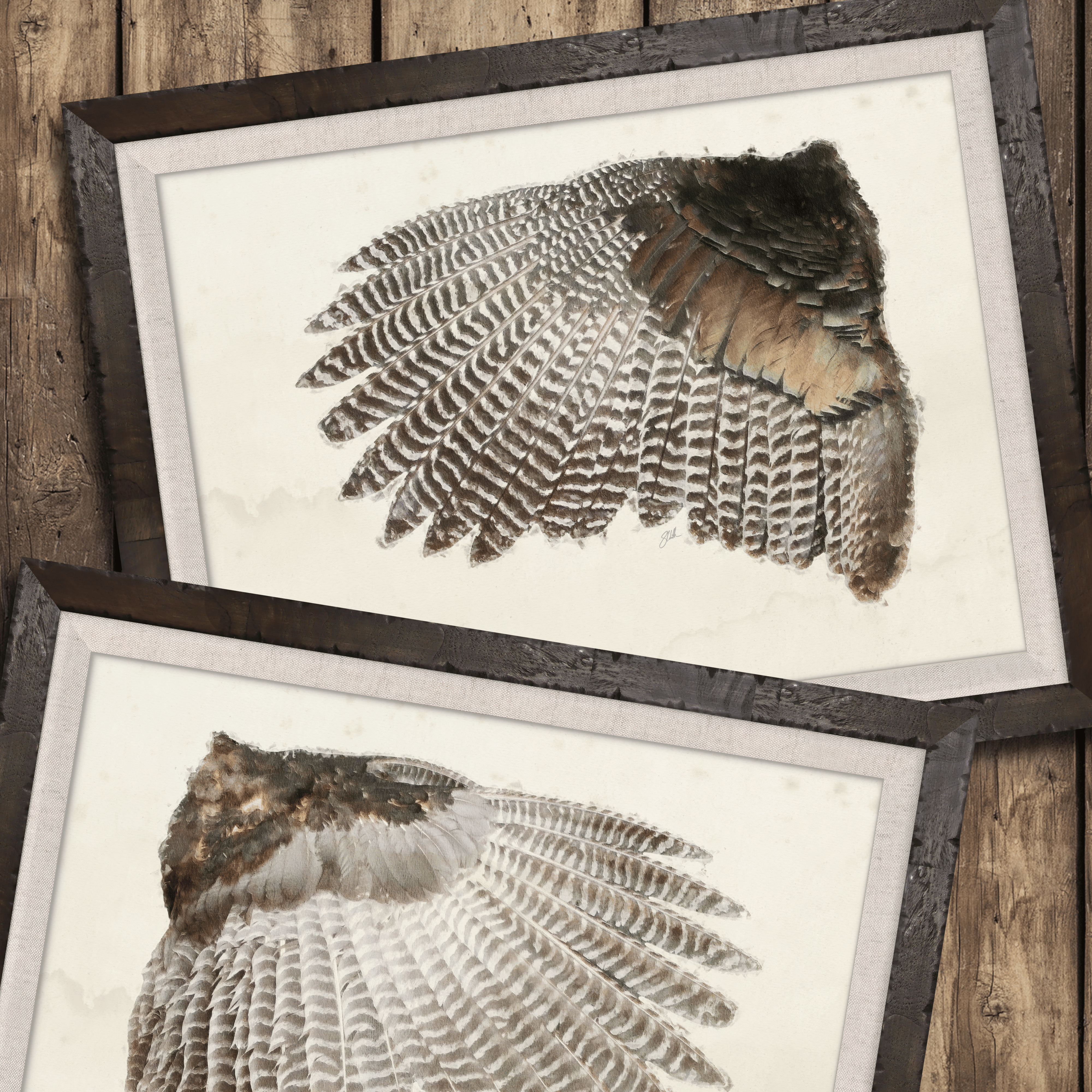 Illustrated Game Bird Wings - Set of 2 Turkeys