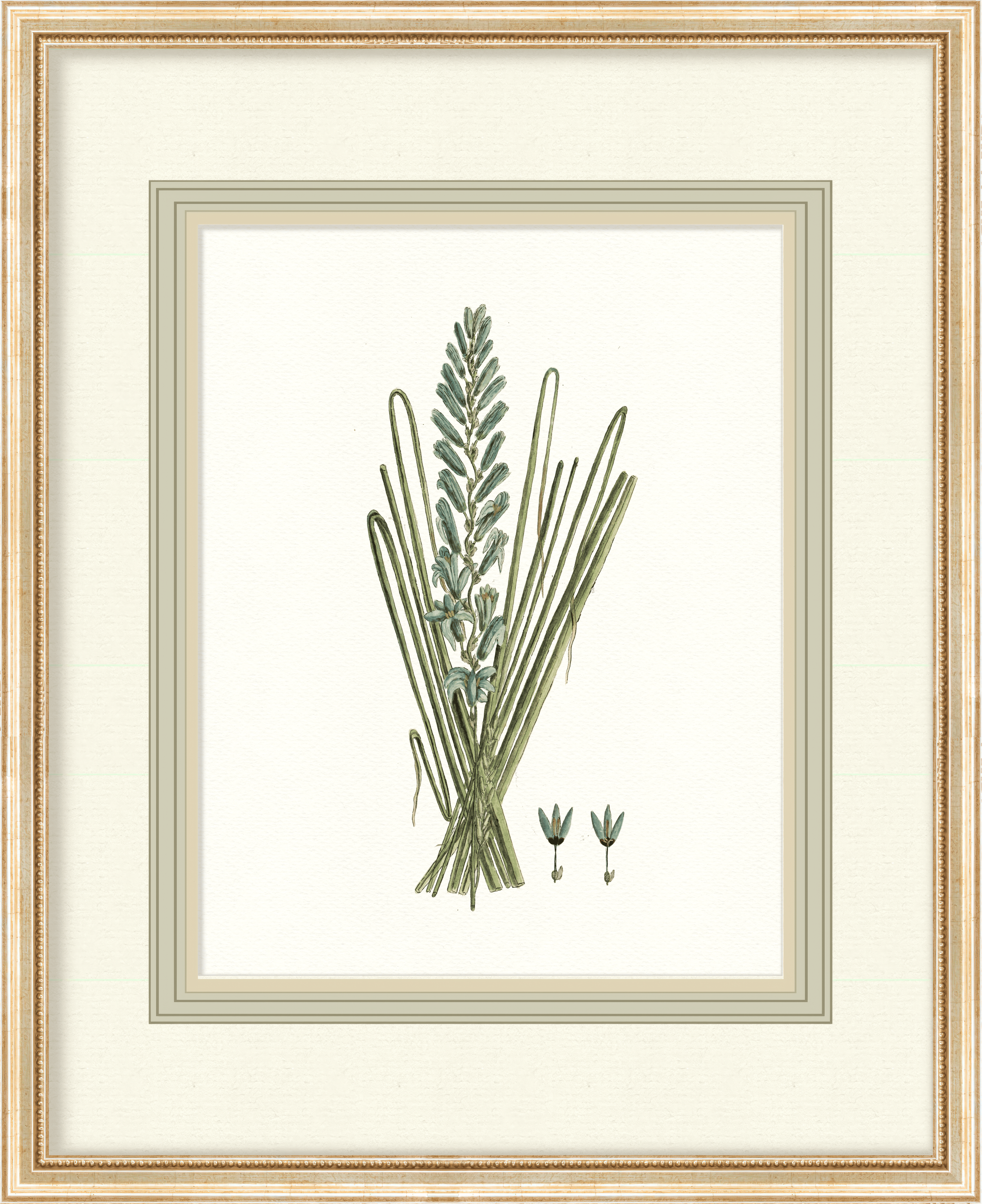 Birds + Botanicals - Full Gallery