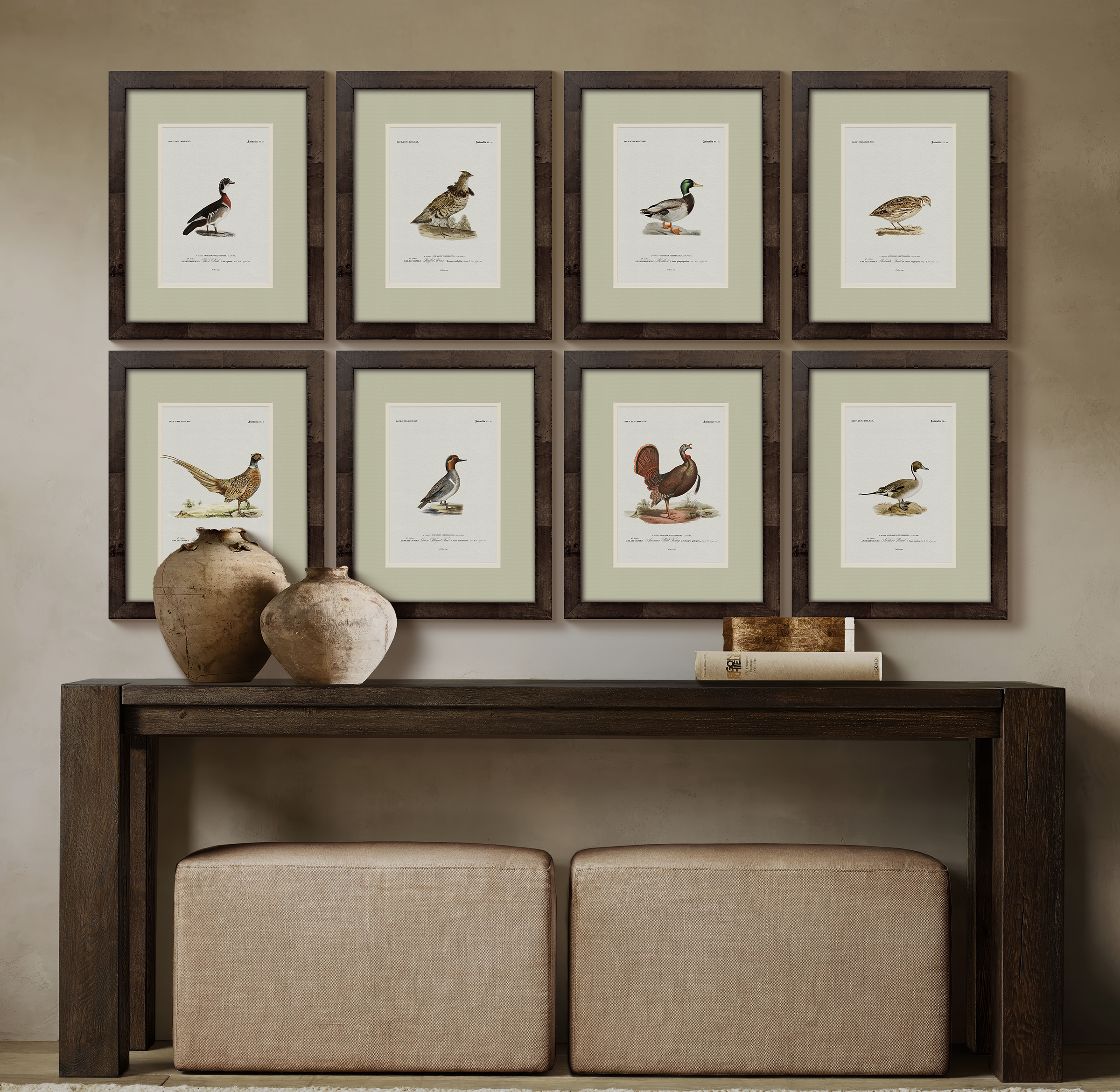 Vintage Duck Illustrations - Goldeneye