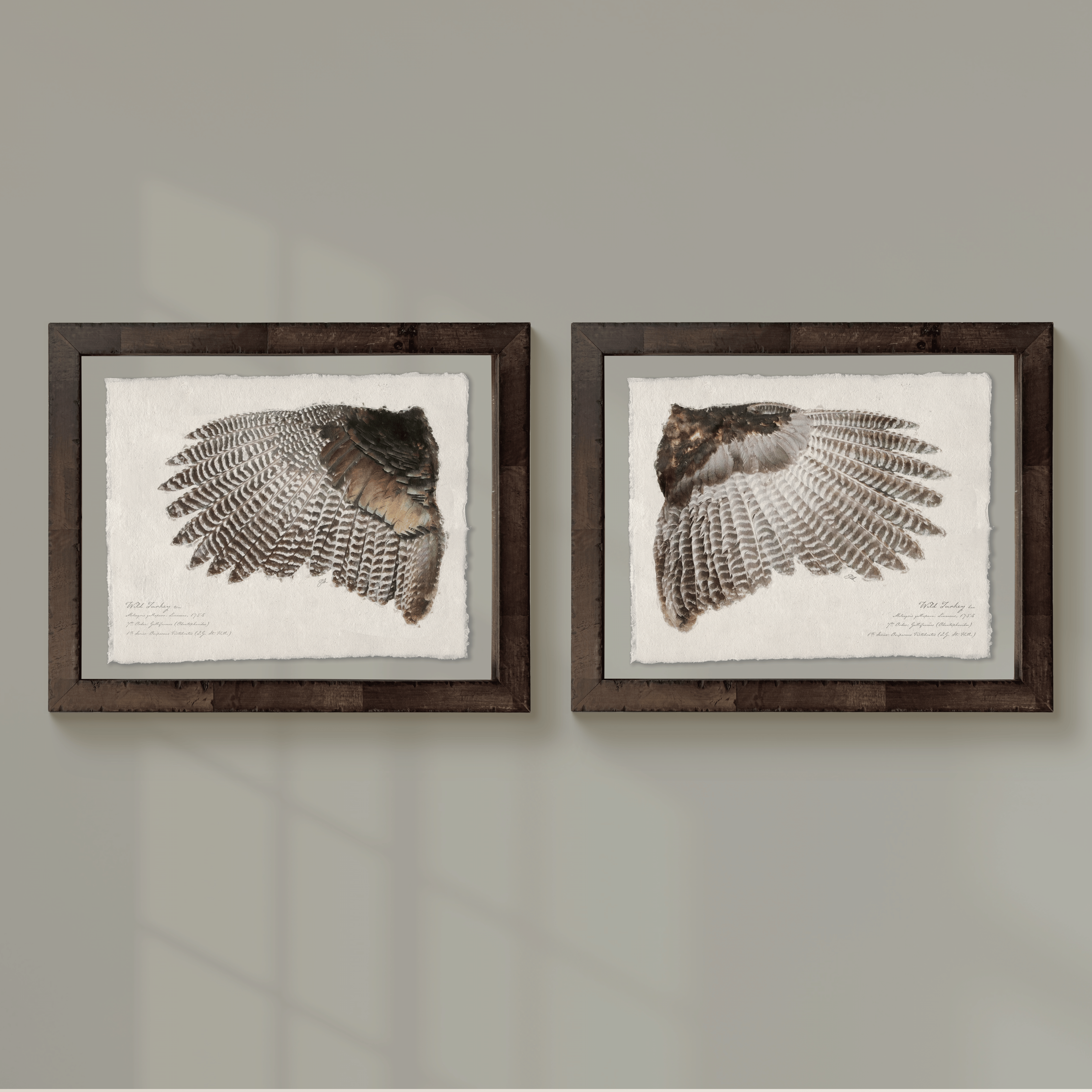 Illustrated Game Bird Wings - Set of 2 Turkeys