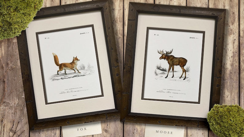 Antique White & Sable Double Mat