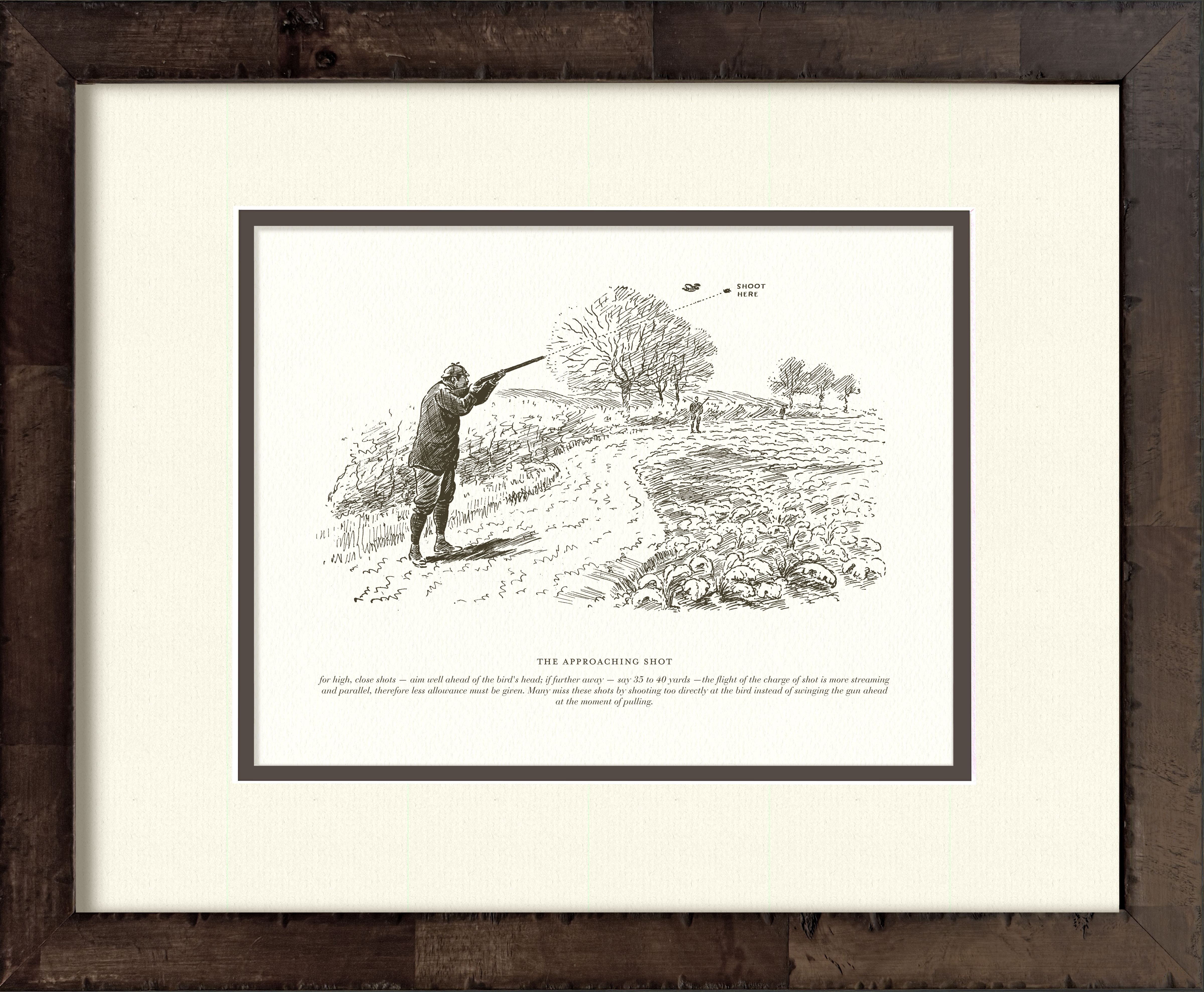 The Approaching Shot — early 20th-century vintage sport shooting illustration