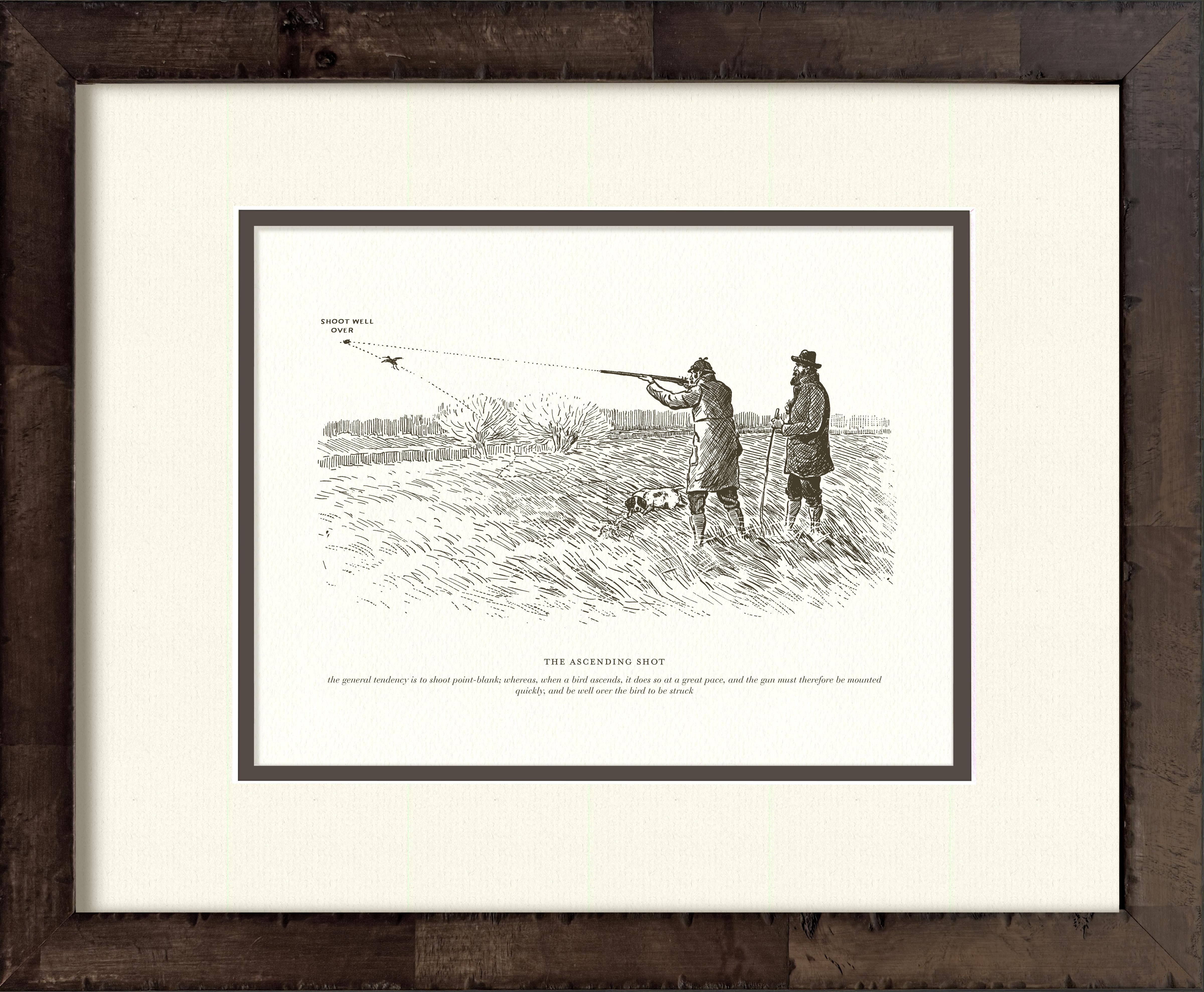 The Ascending Shot — early 20th-century vintage sport shooting illustration