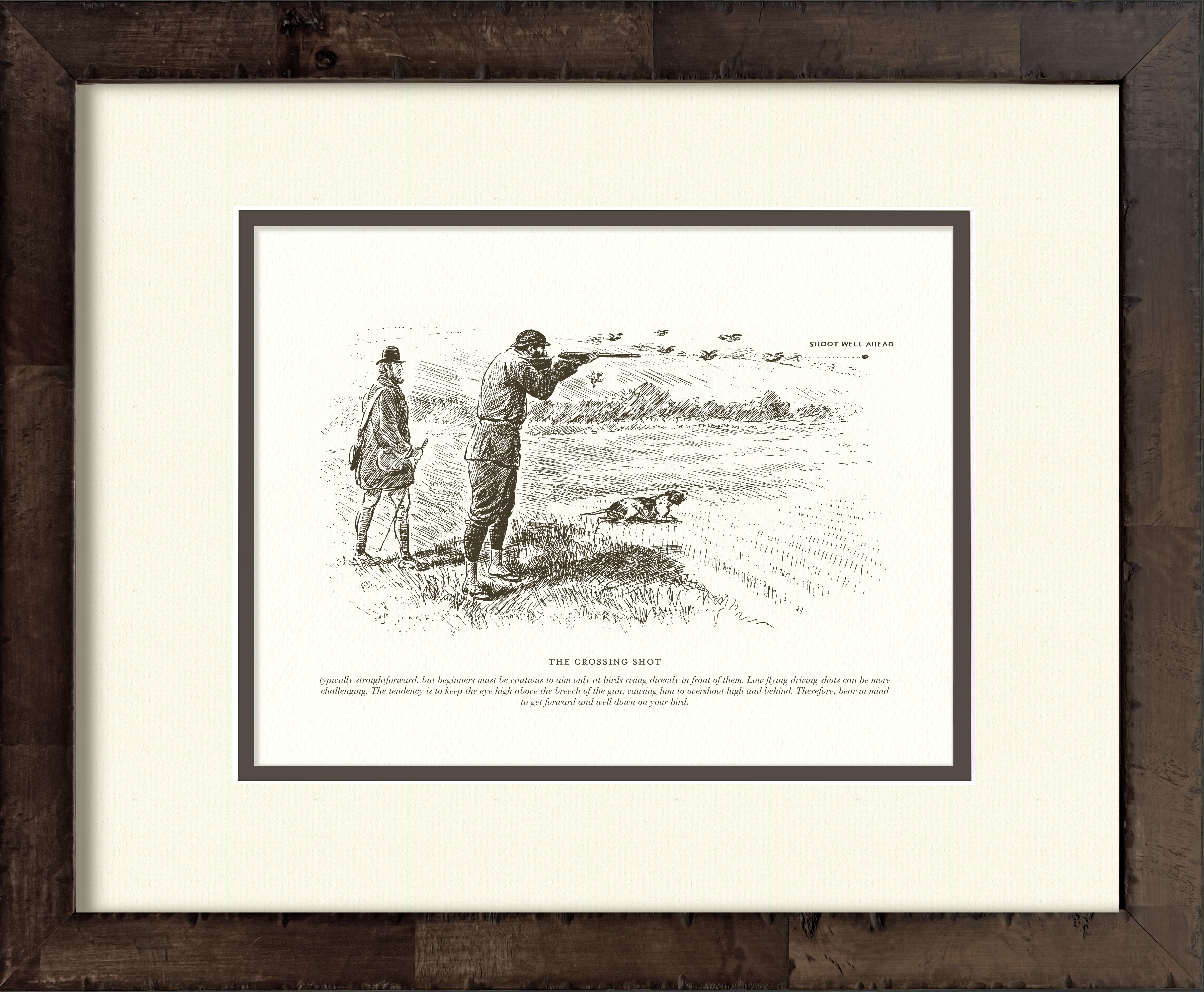 The Crossing Shot — early 20th-century vintage sport shooting illustration