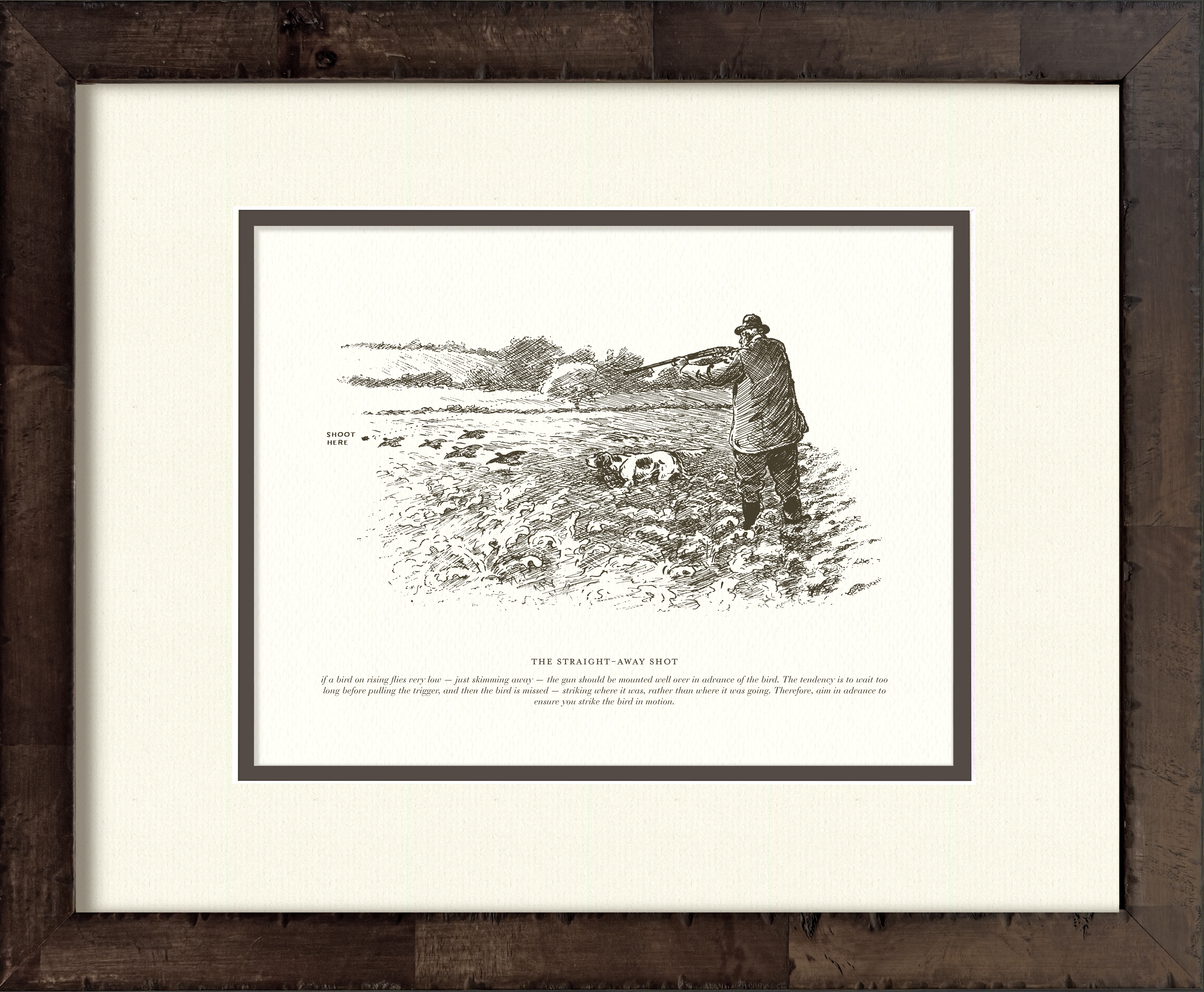 The Straight-Away Shot — early 20th-century vintage sport shooting illustration