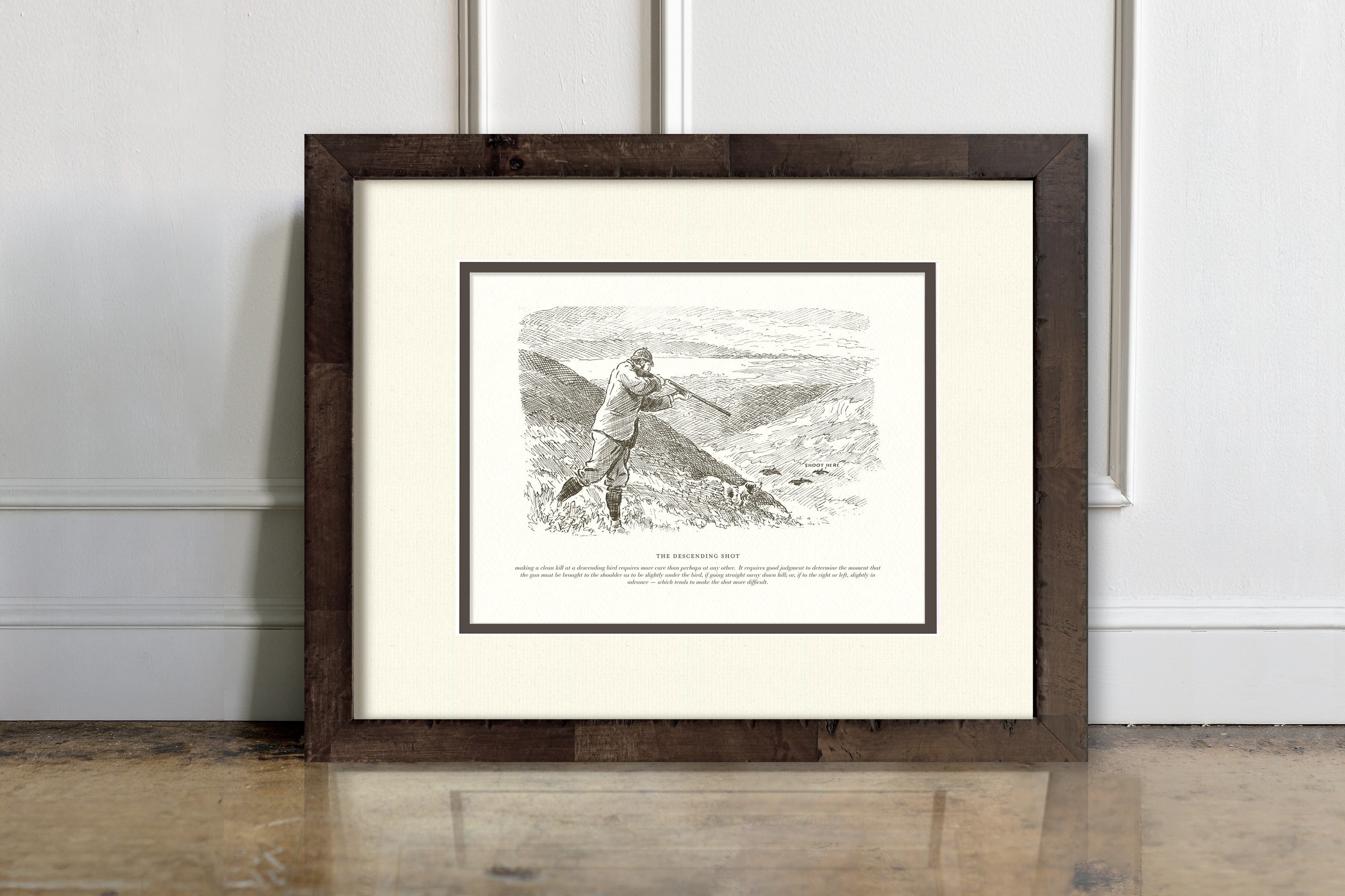 Sport Shooting Illustrations - The Descending Shot