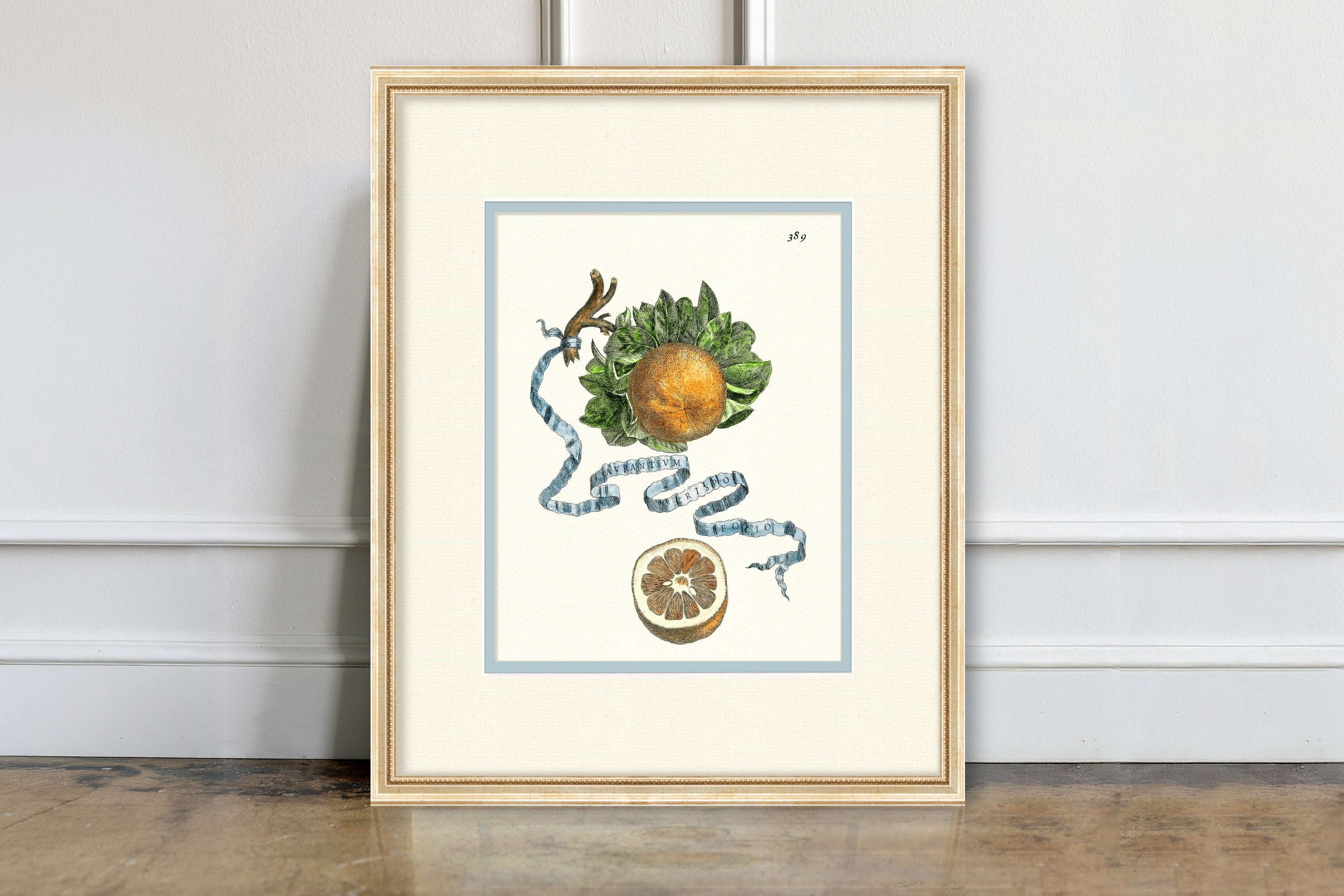 Citrus Botanicals - Orange No. 389