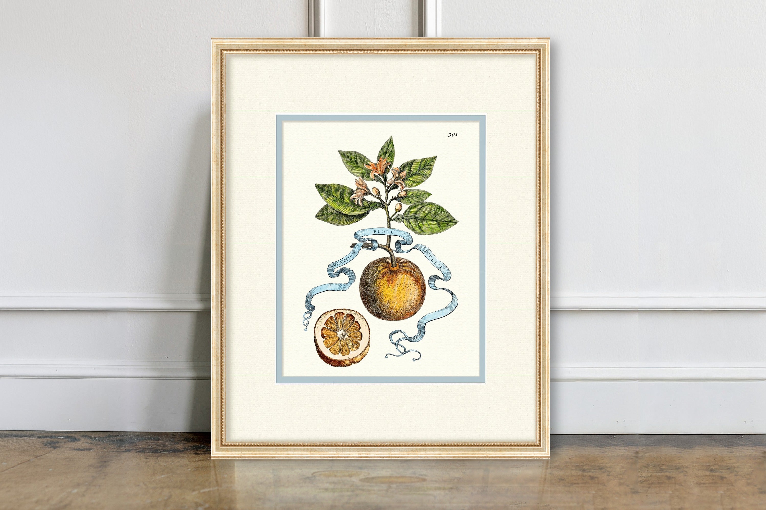 Citrus Botanicals - Orange No. 391