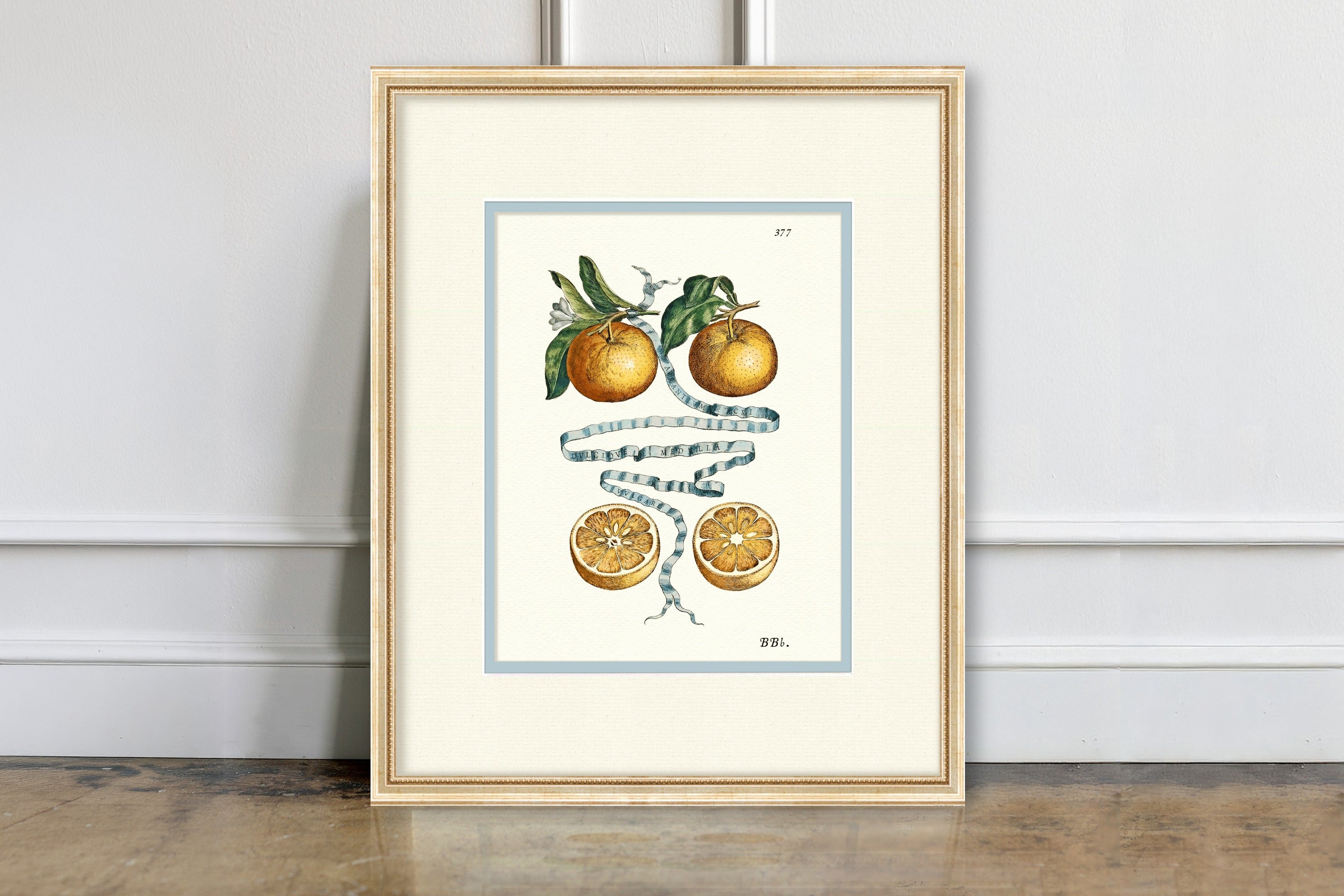 Citrus Botanicals - Oranges No. 377