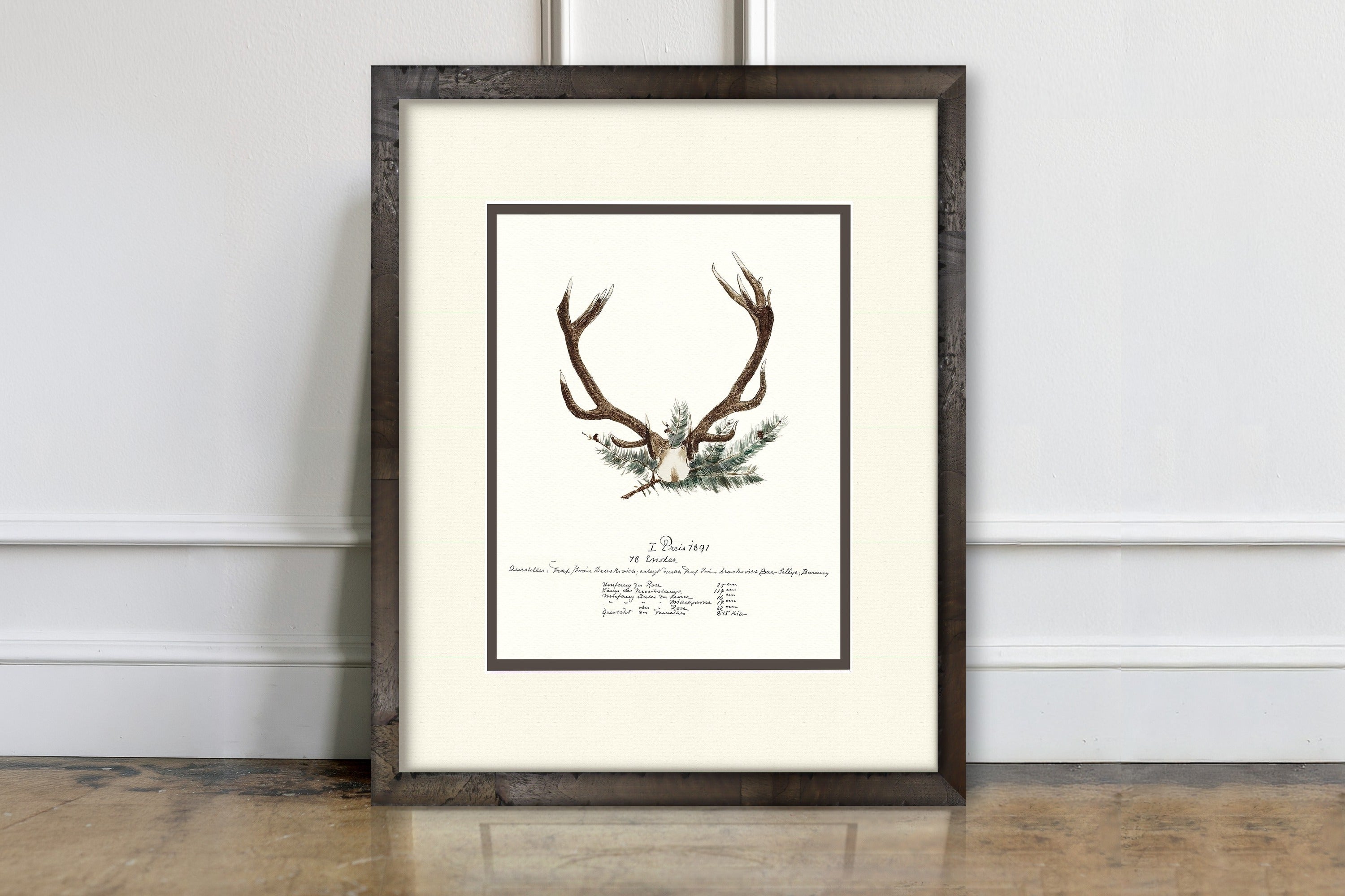 Trophy Antler Illustrations - 1891