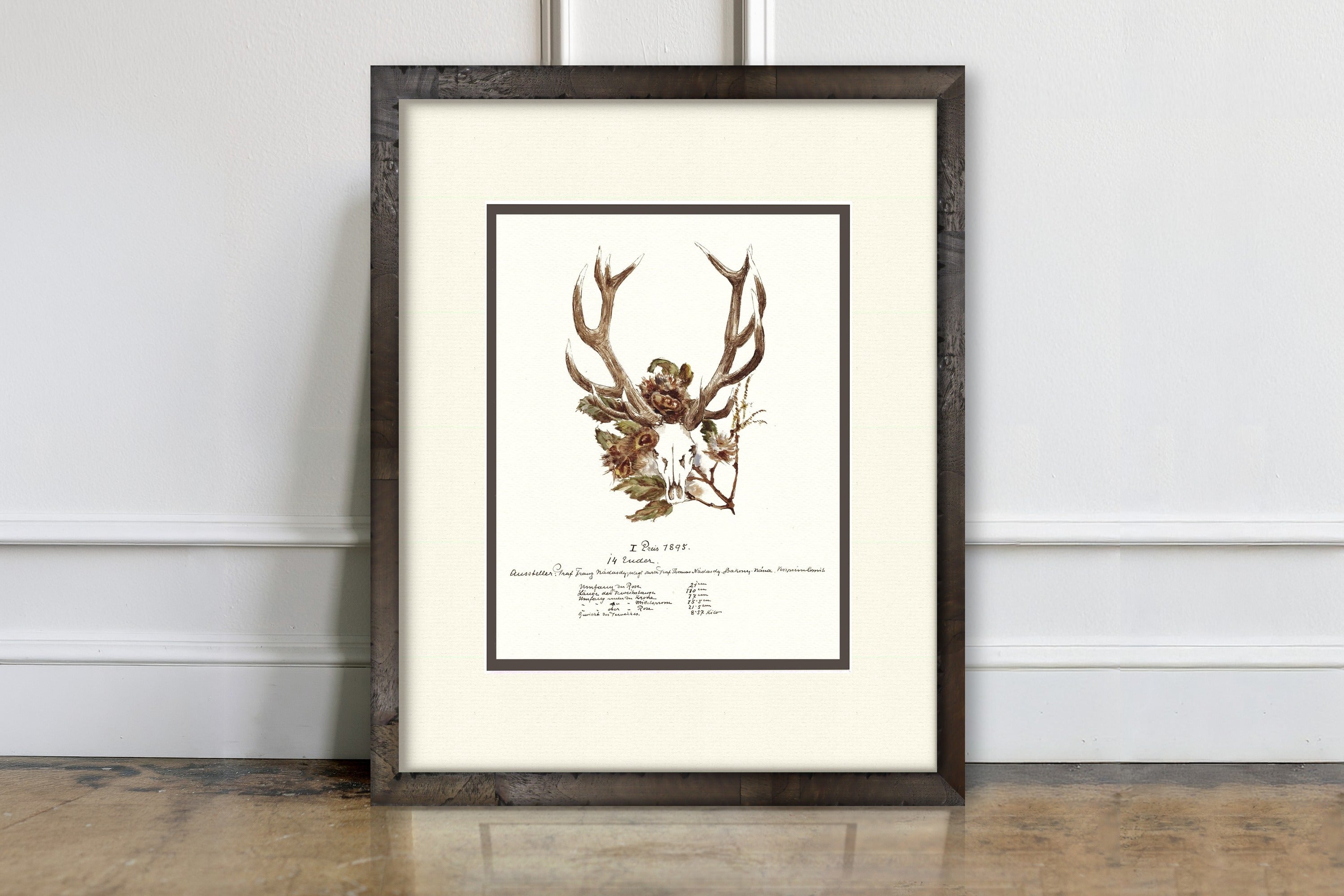 Trophy Antler Illustrations - 1895