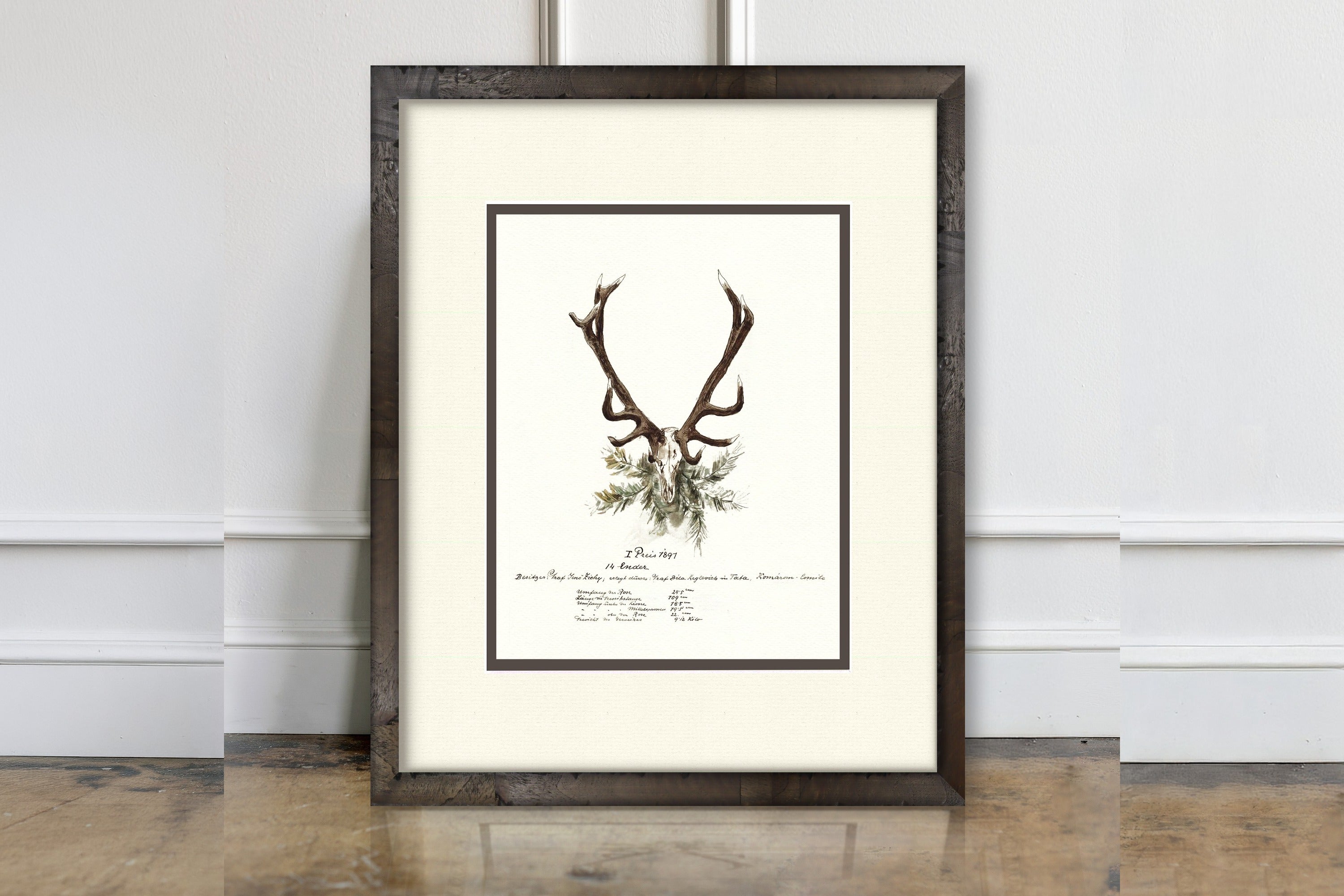 Trophy Antler Illustrations - 1897