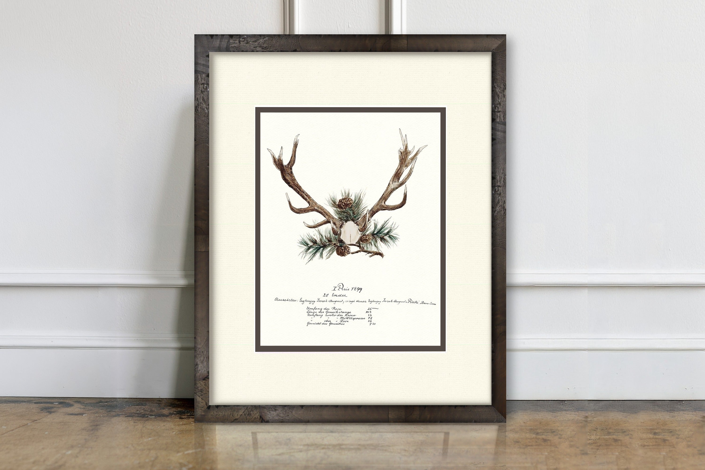 Trophy Antler Illustrations - 1899