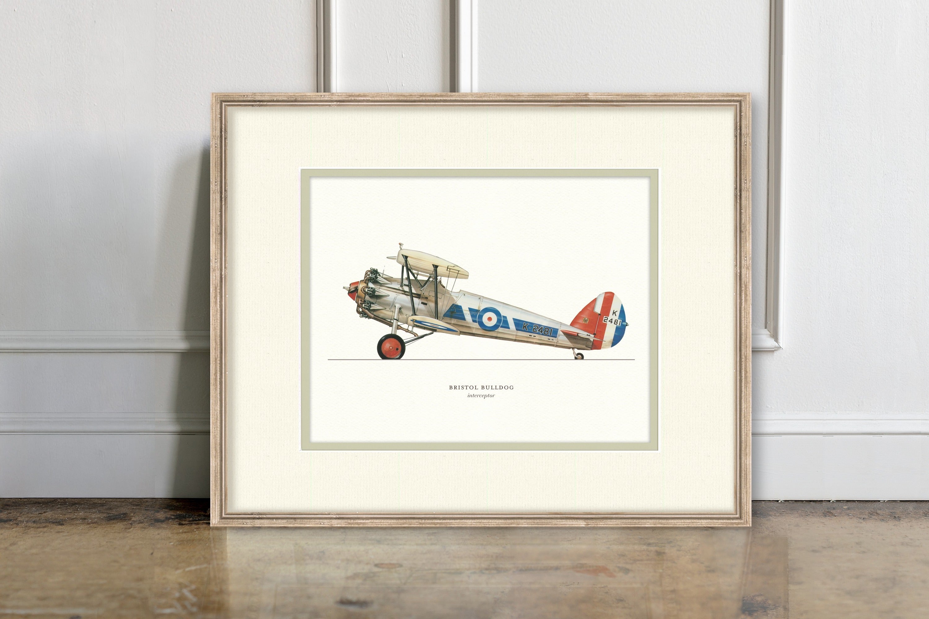 Vintage Airplanes - Bristol Bulldog