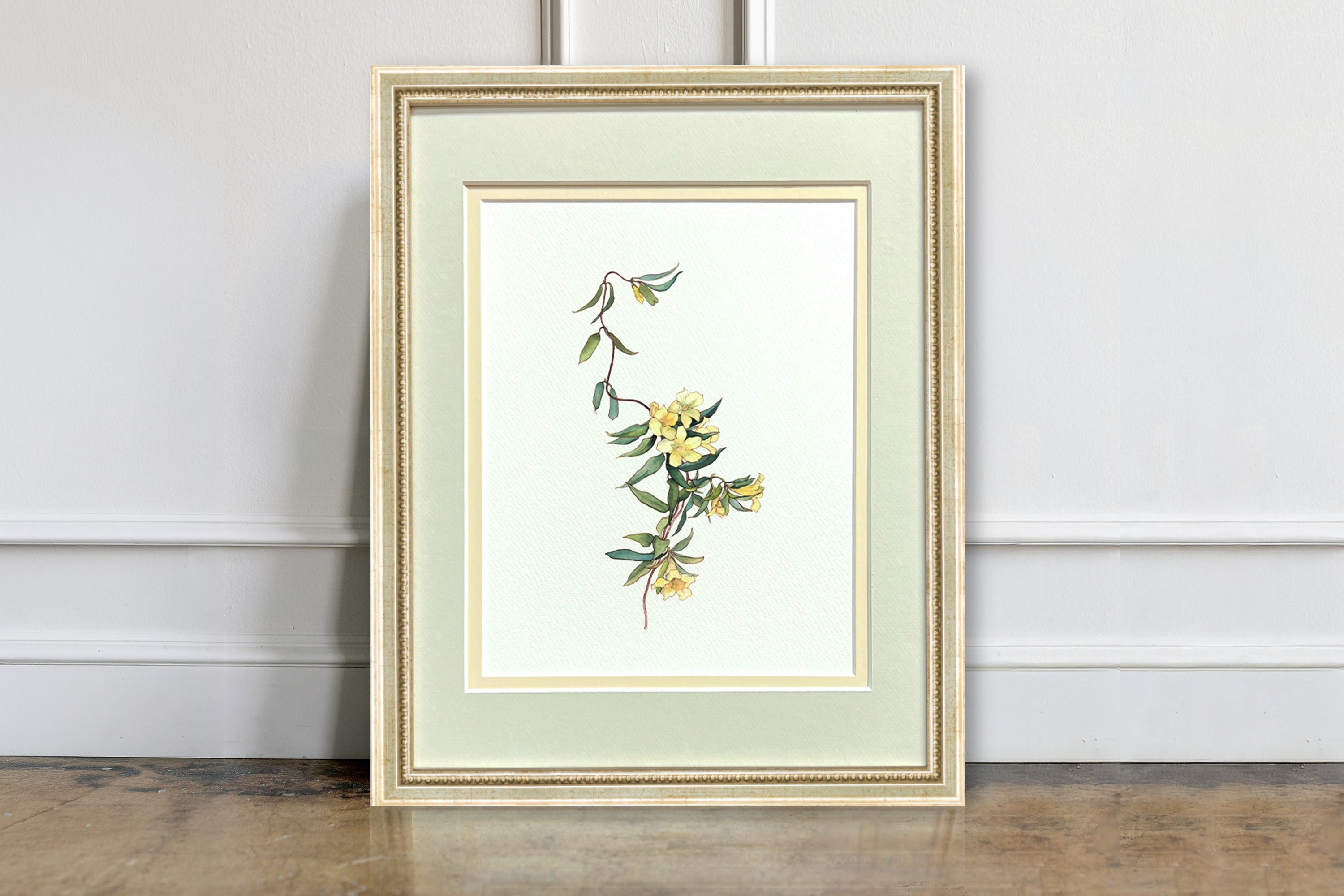 Watercolor Botanical Illustrations - Trumpets on a Vine