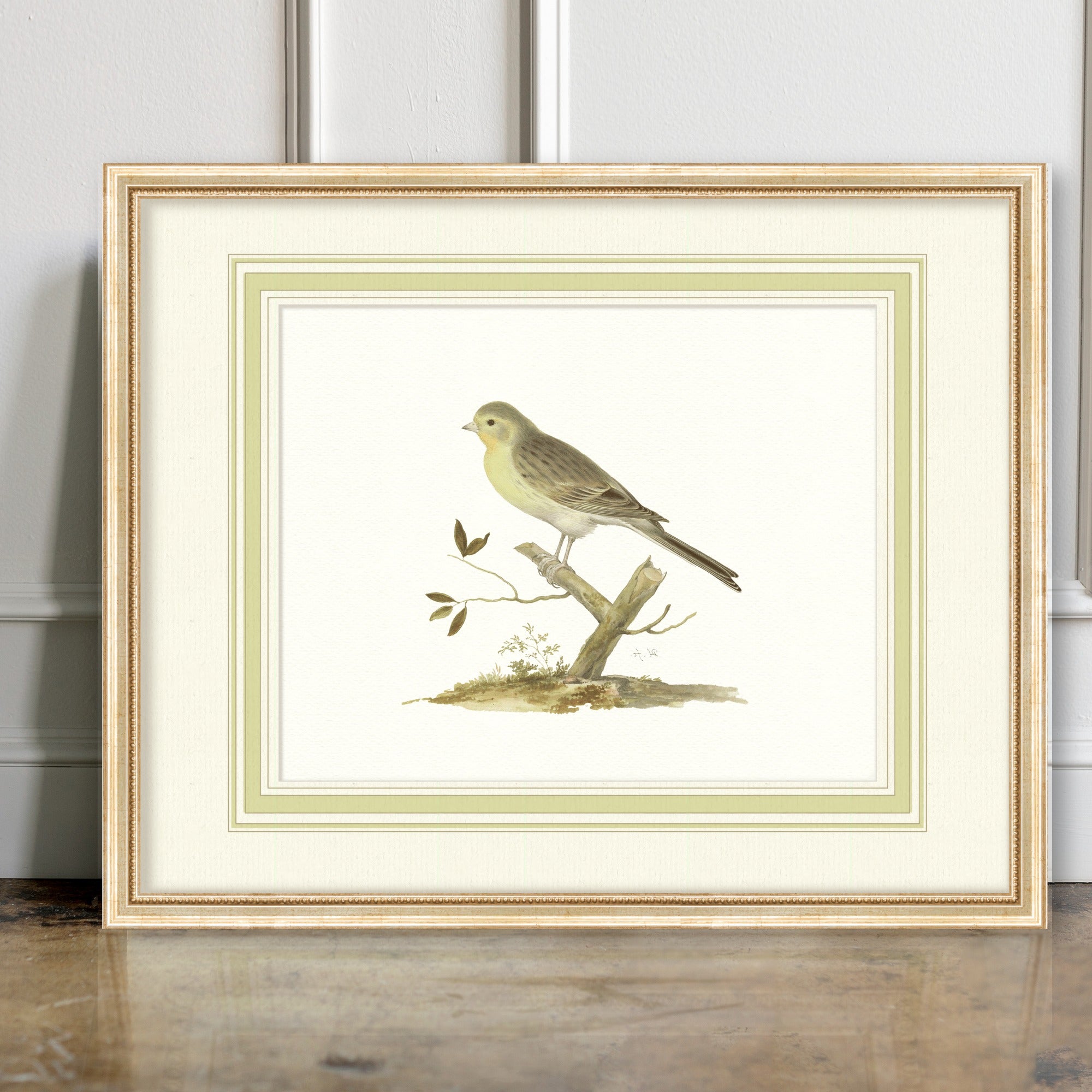 Aviary - Canary - room mockup