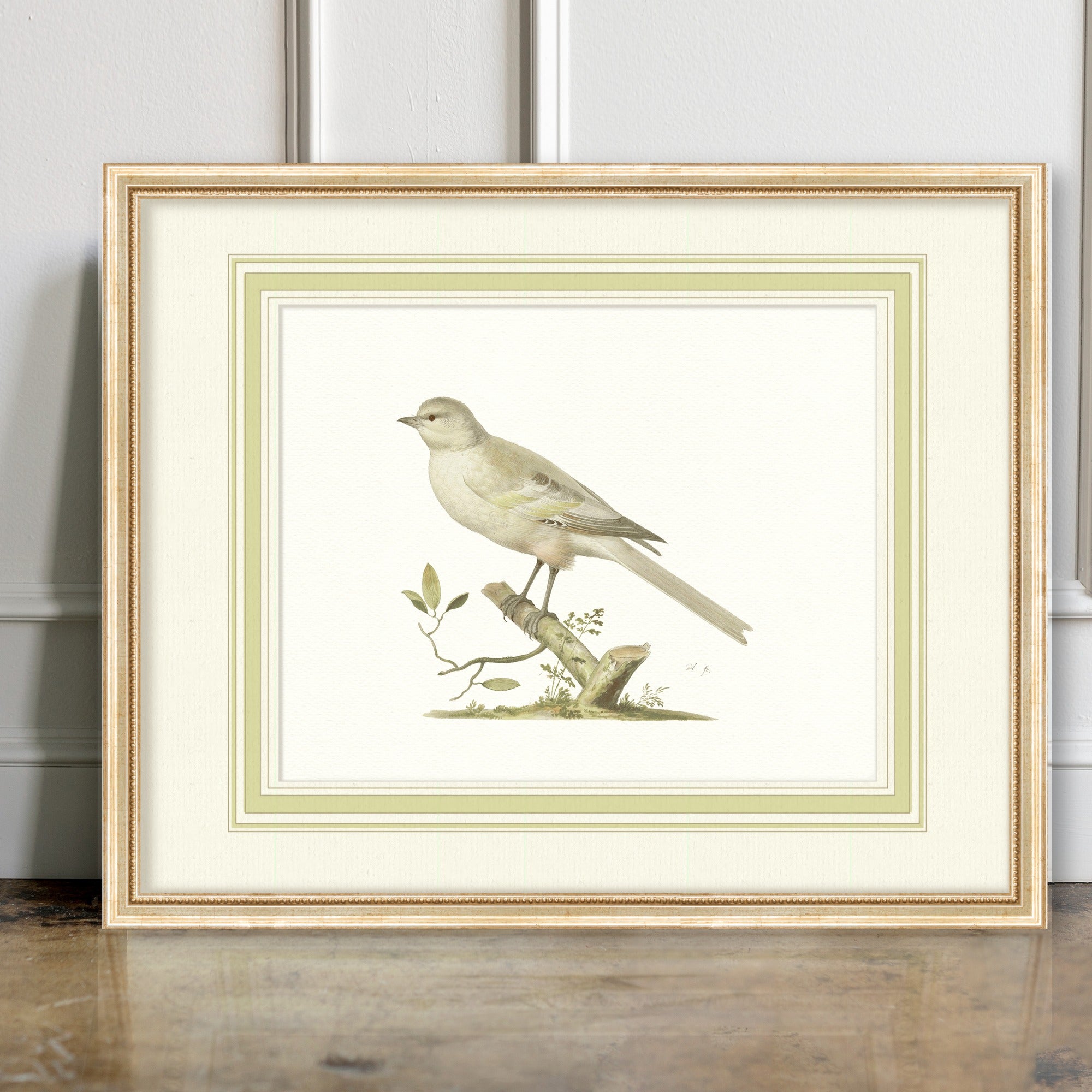 Aviary - Snowbunting - room mockup