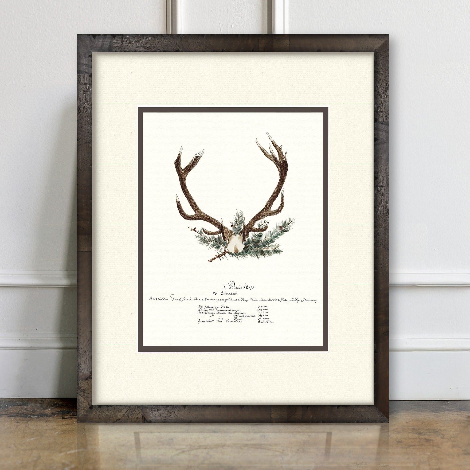 Trophy Antler Illustrations - 1891 - room mockup