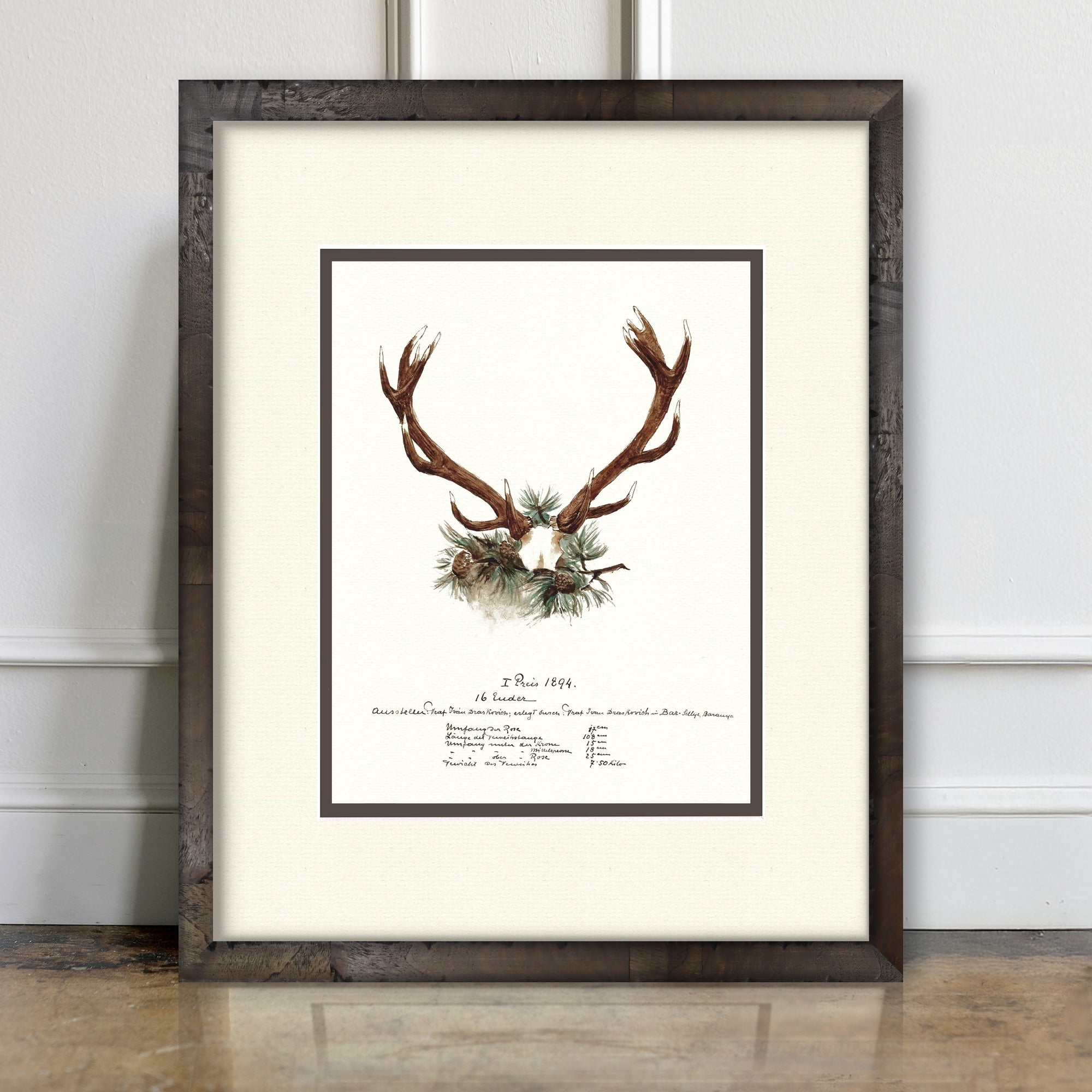 Trophy Antler Illustrations - 1894 - room mockup