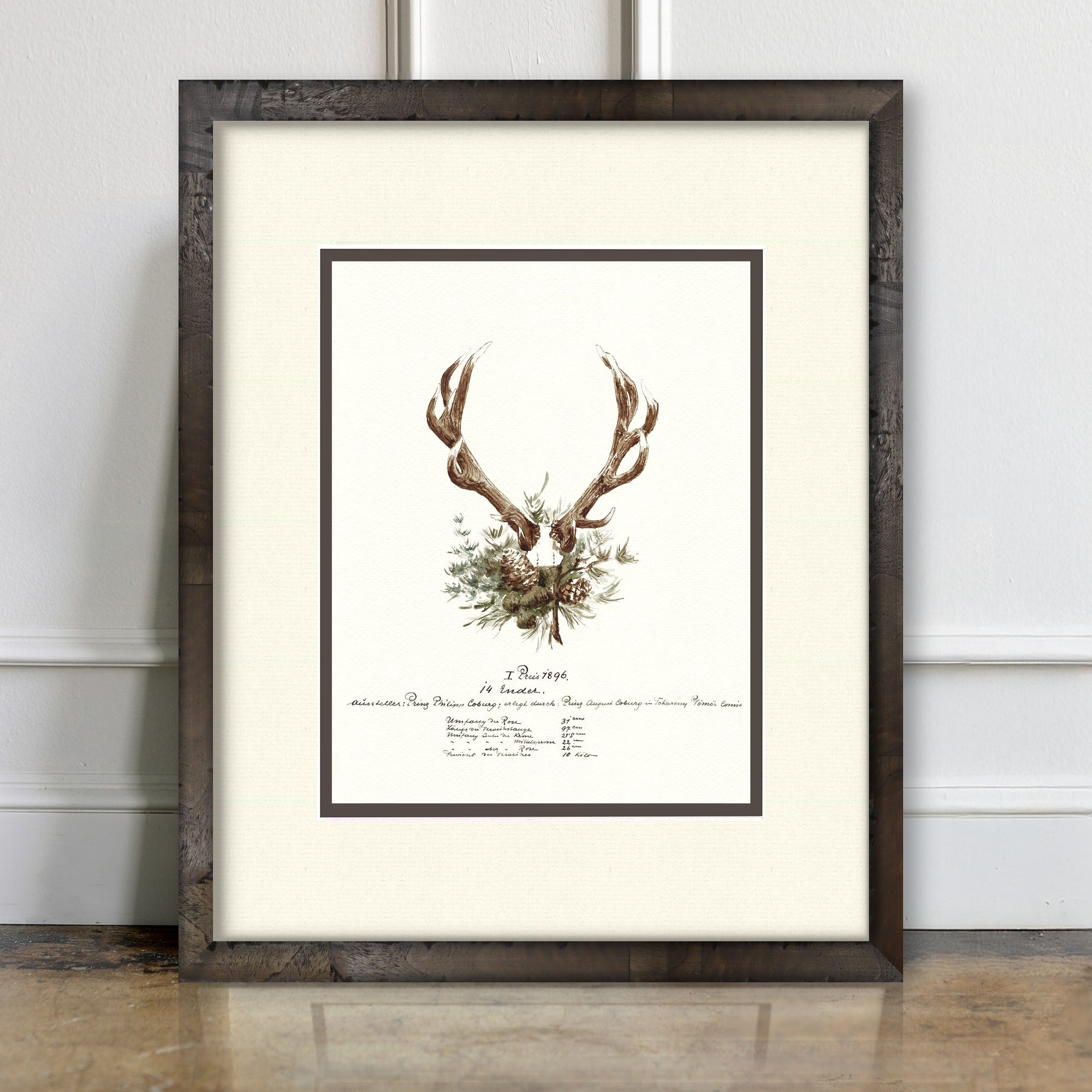 Trophy Antler Illustrations - 1896 - room mockup
