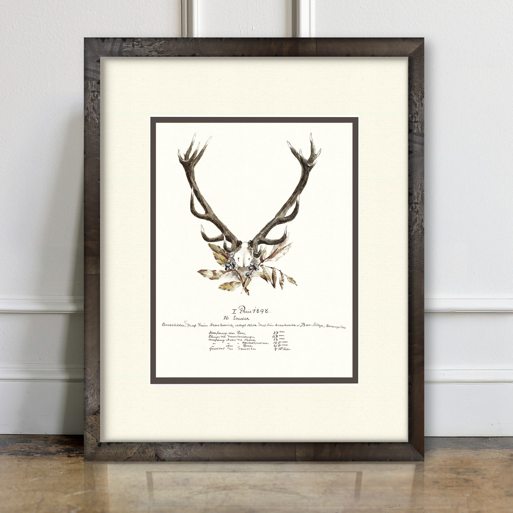 Trophy Antler Illustrations - 1898 - room mockup