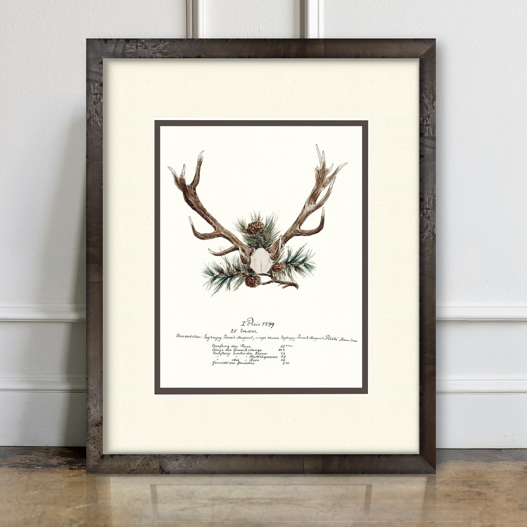 Trophy Antler Illustrations - 1899 - room mockup