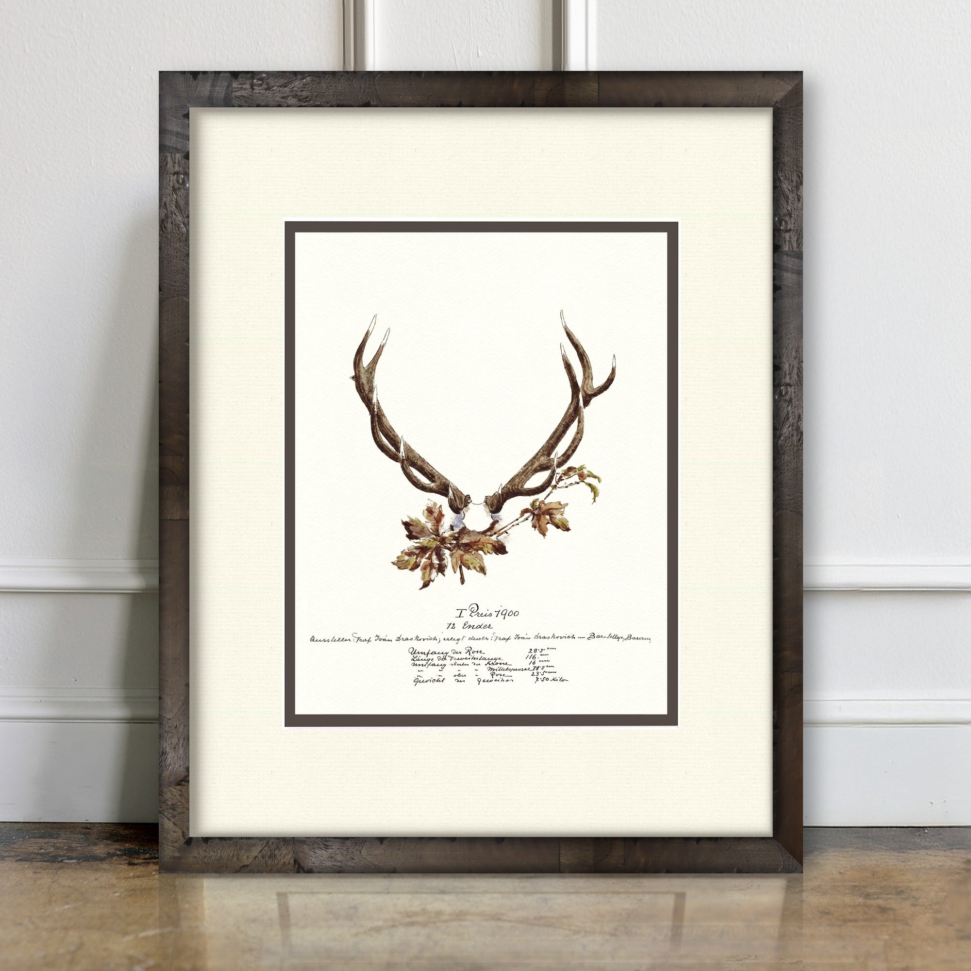 Trophy Antler Illustrations - 1900 - room mockup